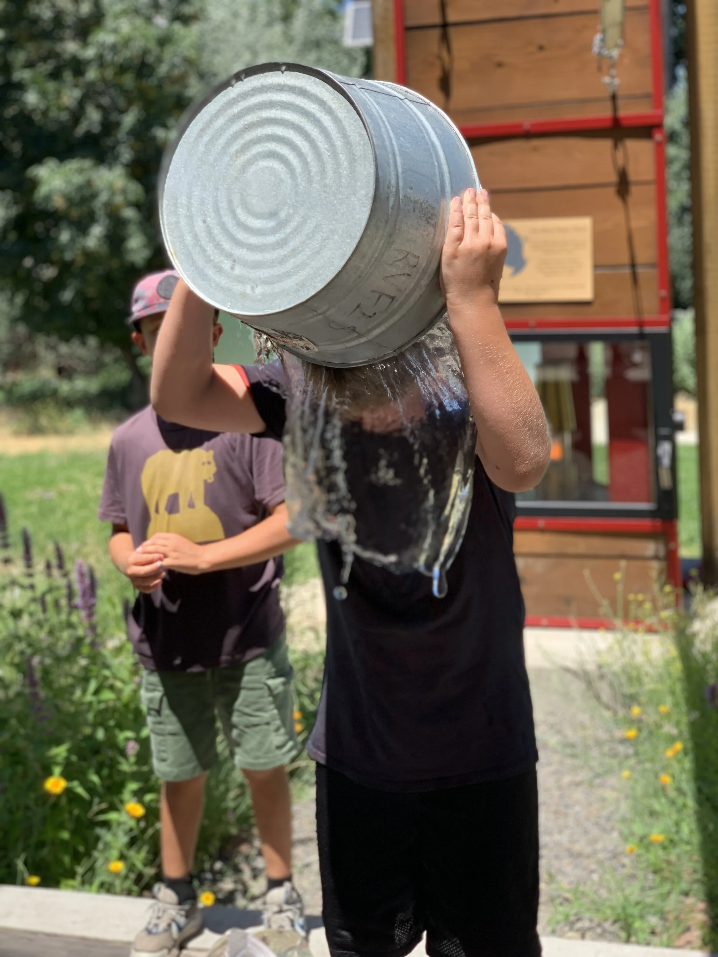 Farm to Fork Challenge Summer Camp