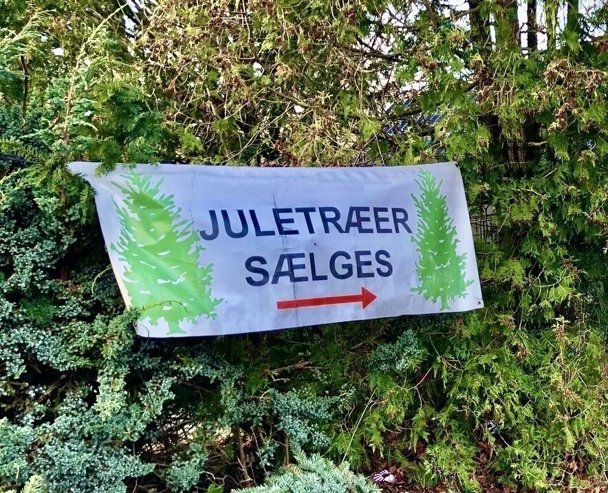 JULTRÆER+SÆLGES+2.jpeg