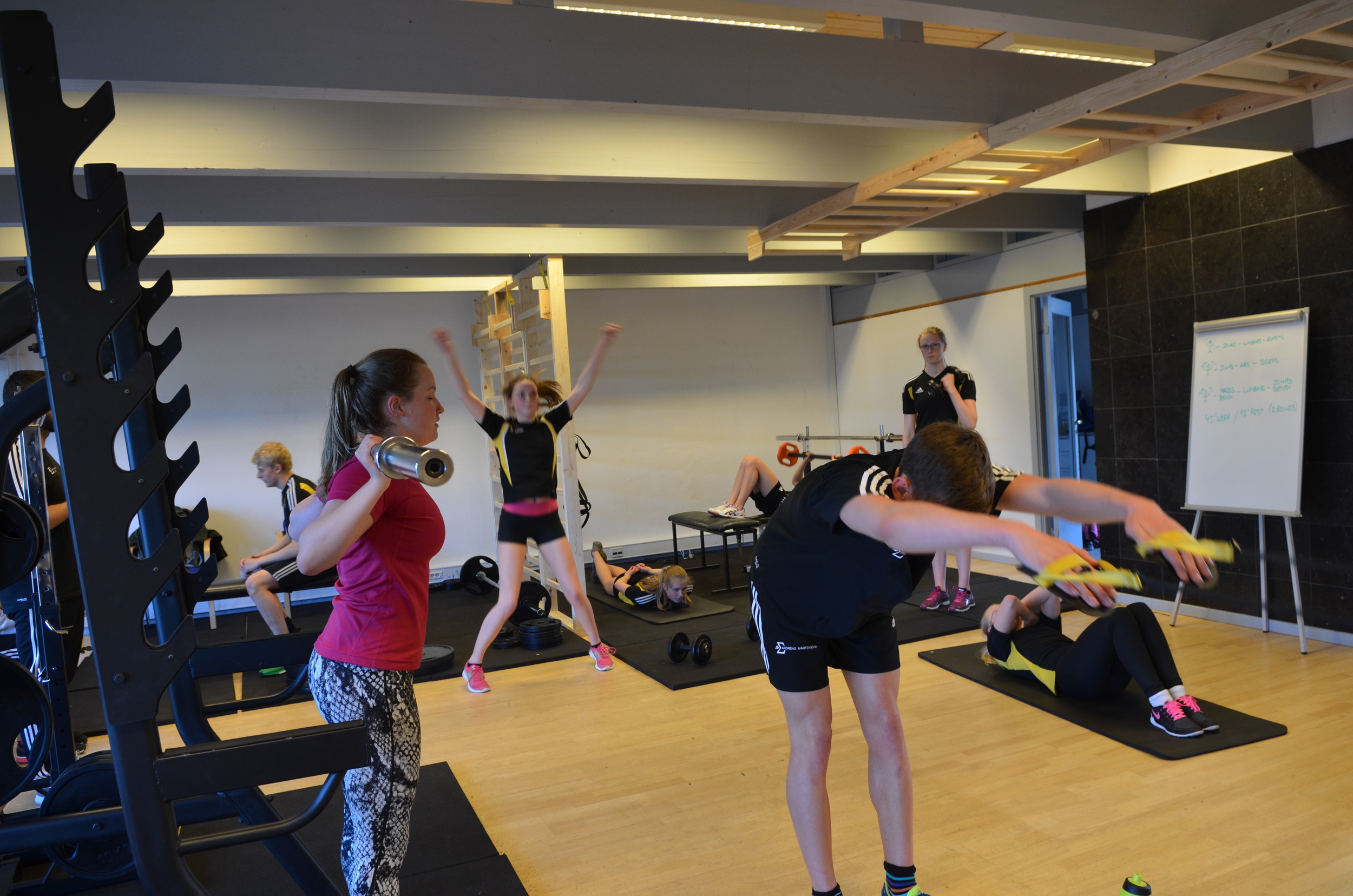 Dryland = træningsmetoder for svømmere på land - herunder brug af træningselastikker. Her fra træningslokalerne ved Blovstrødcentret. Arkivfoto: AOB