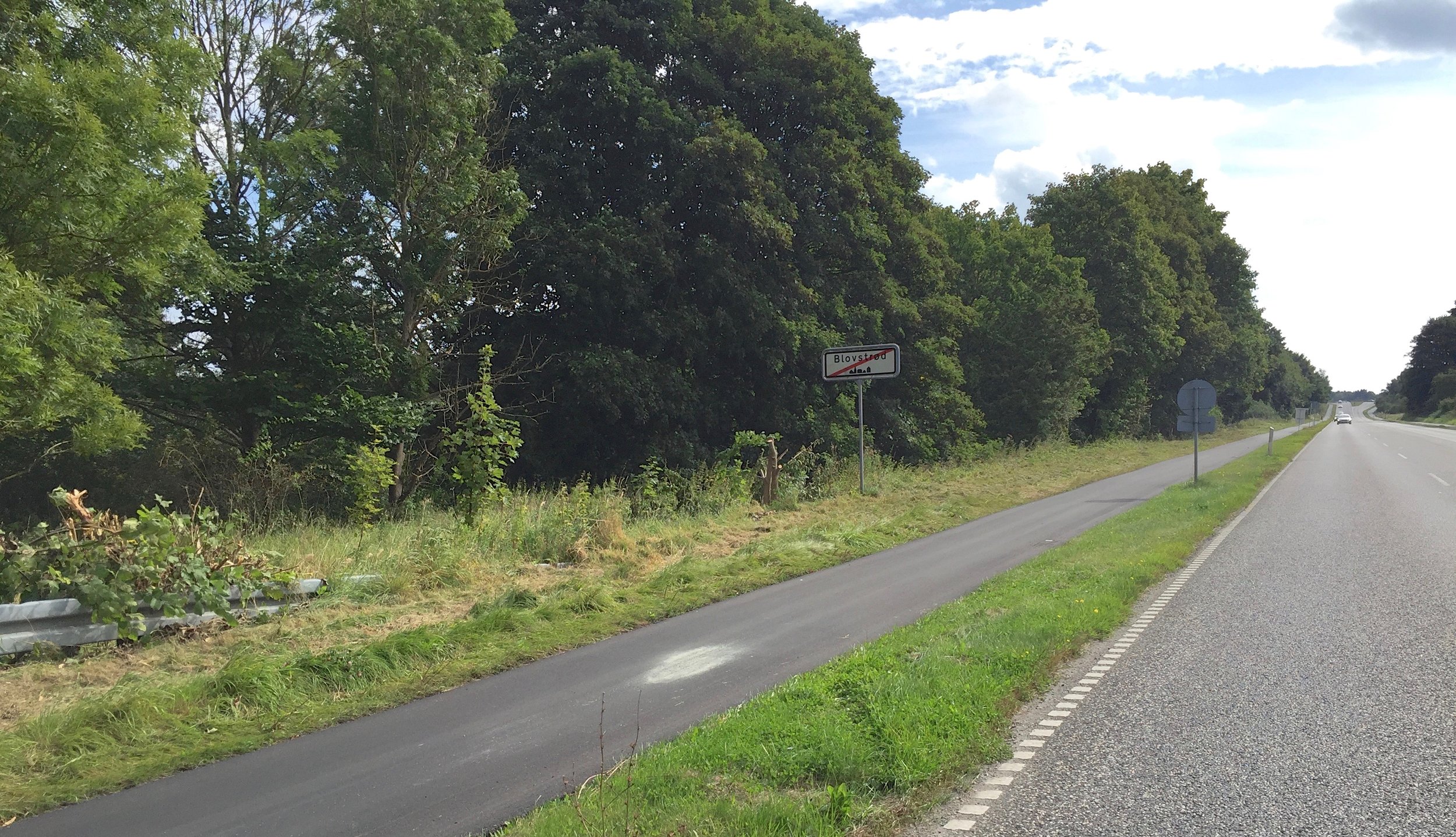 Nu har kommunen fældet et mindre træ, som totalt skyggede for skiltet med ophævelsen af 50 km/t. Nu kan man tydelig se, hvornår man forlader Blovstrød, når man køre mod syd. Foto: AOB
