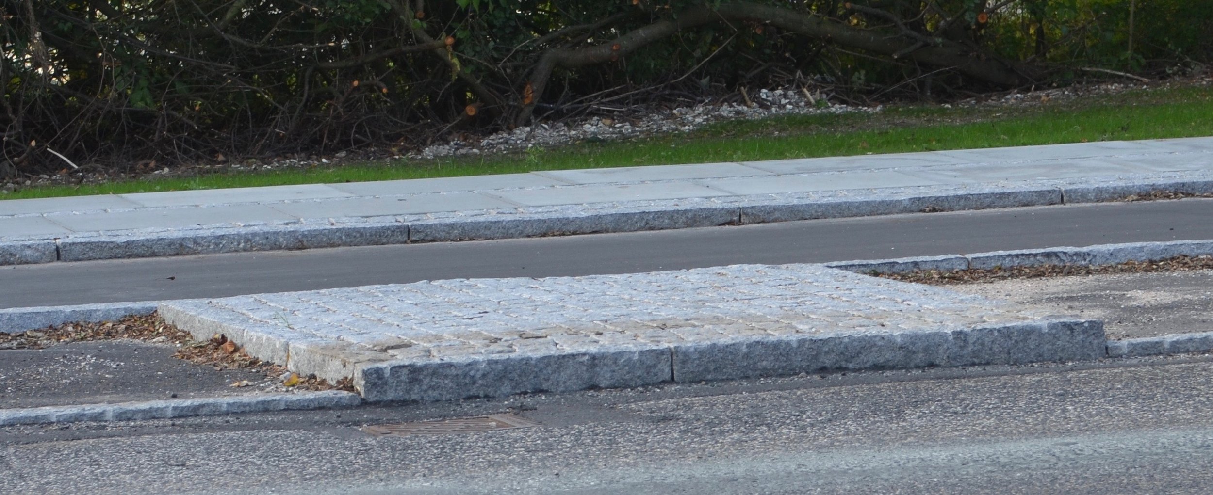 Den hævede chausséstens markering mellem de to parkeringspladser vil ikke blive sænket. Foto: AOB