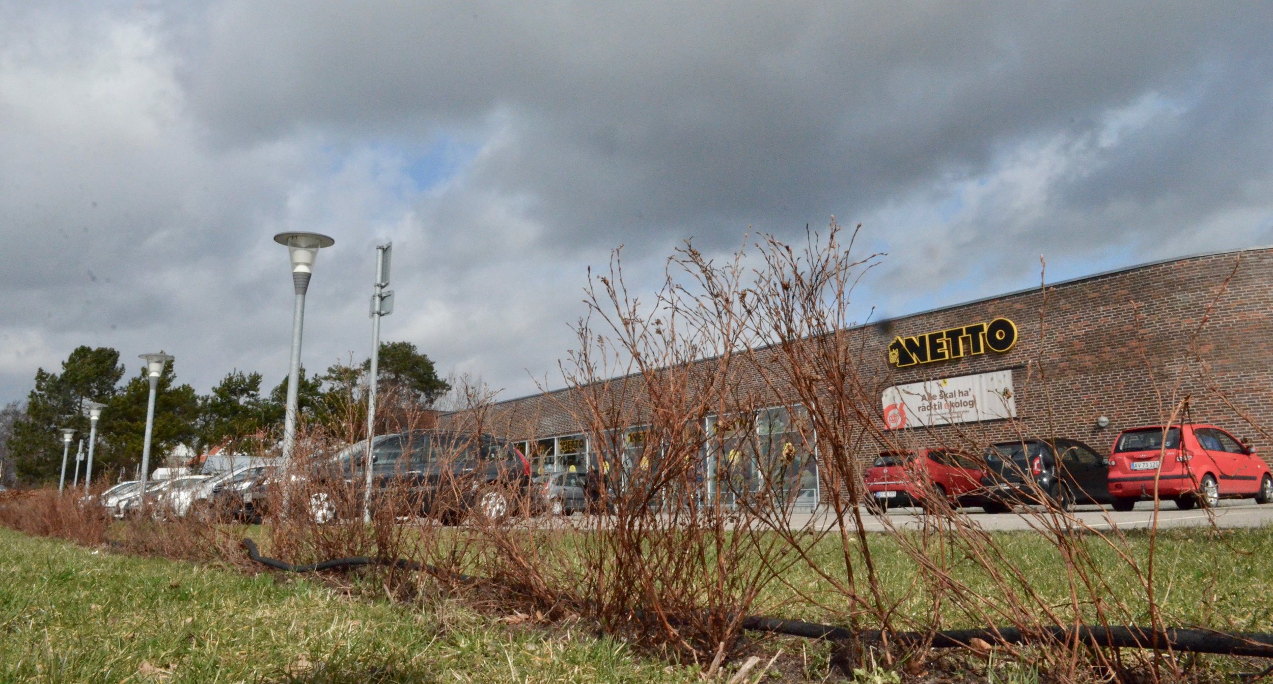 Netto har nu for tredje gang plantet en hæk mellem parkeringspladsen og Kongevejen. Foto: AOB