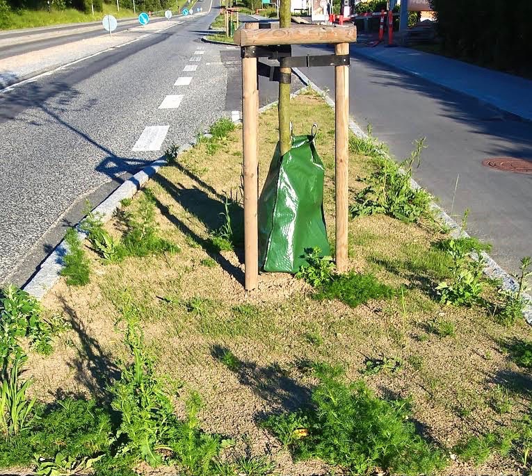 "Det kunne være interessant at kende årsagen til, at kommunen vælger at plante en ukrudtsmark på Kongevejen." Tekst og foto: Erling Jebe.