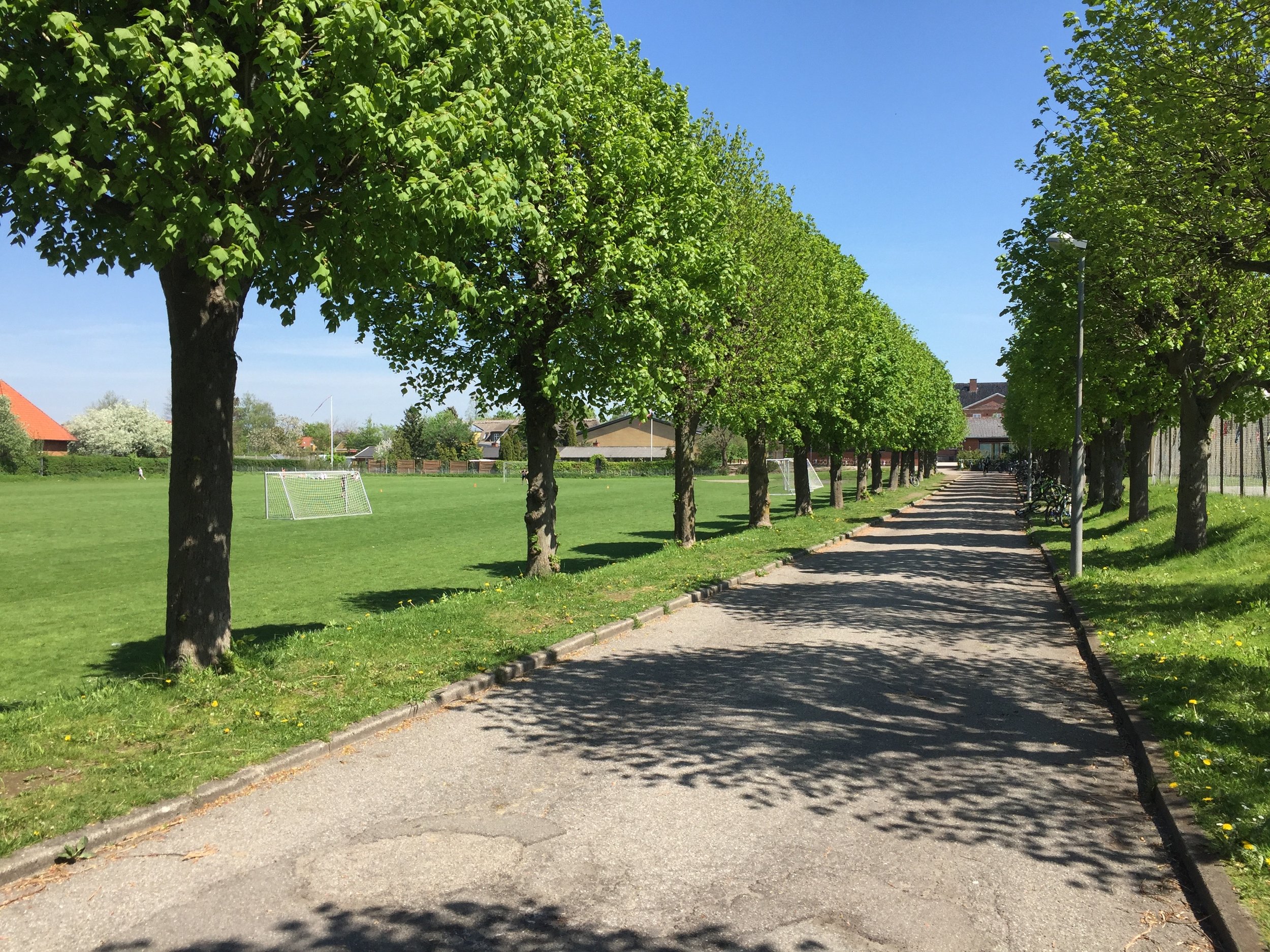 De første skitser for området viste bl.a. en bebyggelse på alléen, som er brandvejen til skolen - jf. ovenstående planskitse. Foto: AOB