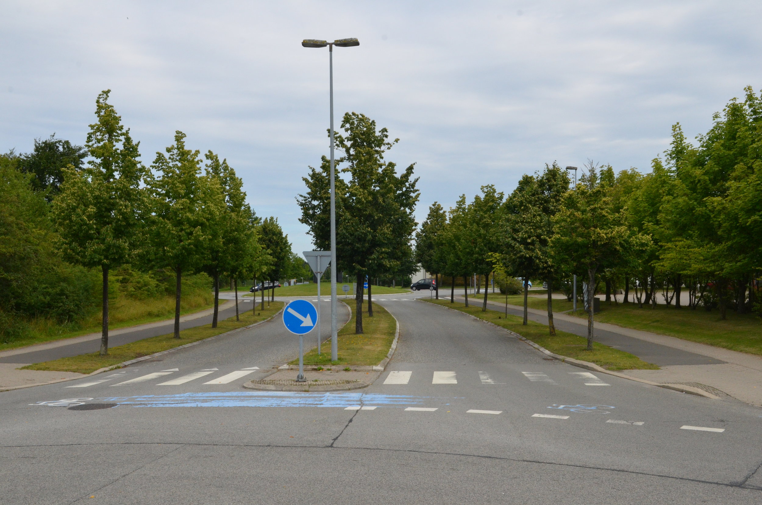 Billedet fra Engholm Parkvej er et godt eksempel på, hvor fint det kan gøres med også at placere træer i midterrabatten. Afstandsforholdene er de samme som ved Kongevejen, og som det ses, trives træerne i midterrabatten rigtig godt! I øvrigt er der en del af disse træer, som ikke overholder vejlovens afstandskrav. Foto: AOB