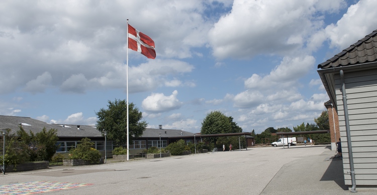"Indskolingslederen skal indgå i et fagligt stærkt og velfungerende ledelsesteam bestående af skolelederen og viceskolelederen," lyder det bl.a. i opslaget. Foto: AOB