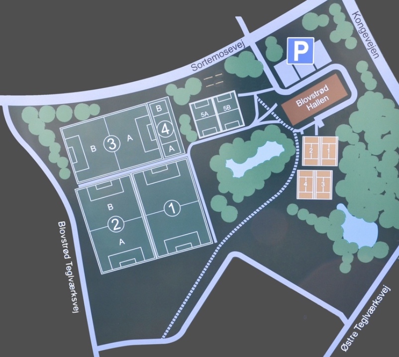 Udbygningen af Blovstrød med er større antal nye boliger i de kommende år, vil give behov udbygning af faciliteterne på Blovstrød Idrætsanlæg, og det kunne bl. a. være i form af: -Lokaler til foreningsfitness. -Flere baner til fodbold, muligvis vil behovet mest være i form af baner til 5- og 7-mands fodbold. -Faciliteter til parkour, rulleskøjter, BMX-cykelbane.