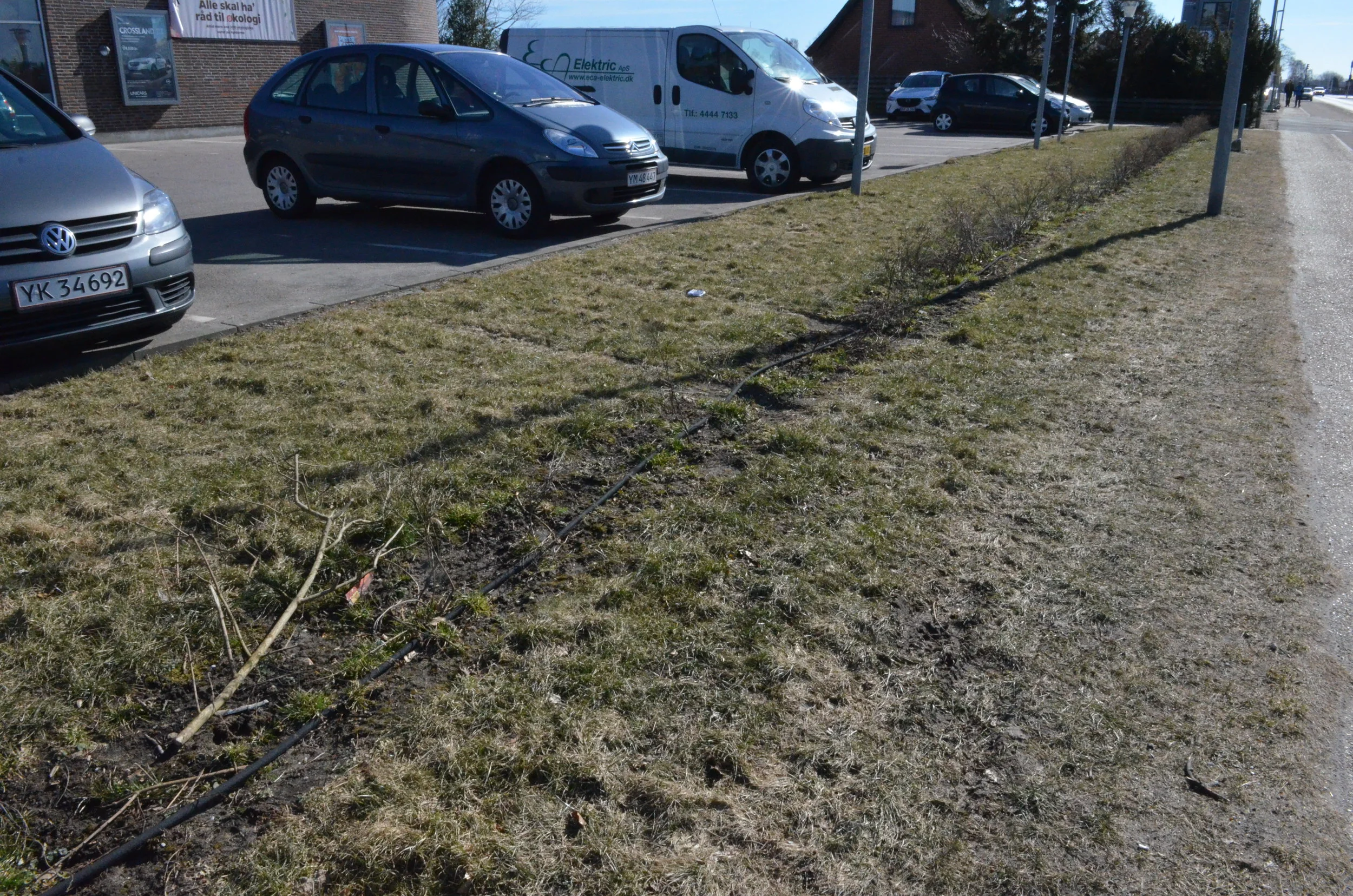 Man ser tydelige flere spor efter bilister, som er kørt fra Nettos p-plads direkte ud på Kongevejen - gennem hækken og ud over fortorvet. Og på en strækning ligger der nedkørte og knækkede hækplanter. Foto: AOB