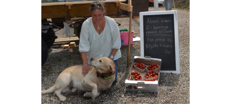 "Hunden 'Tebby' er altid med - den er nemligt mit logo, som alle mine faste kunder kender og ved, at det er kvalitetsvarer jeg sælger," siger Sussi Øder. Foto: AOB 