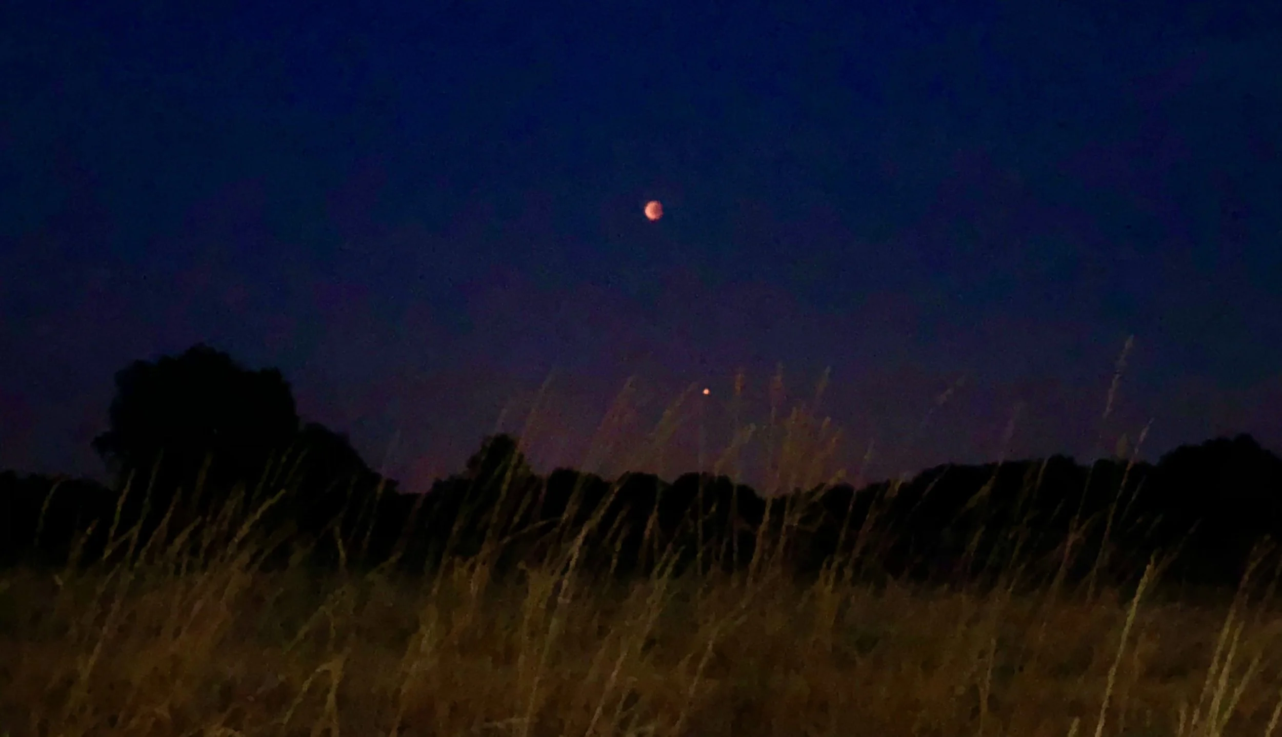 Vores fotograf var tålmodig og til sidst fik han et foto af både blodmånen og planeten Mars. Billedet er taget med en iPhone. Foto: AOB