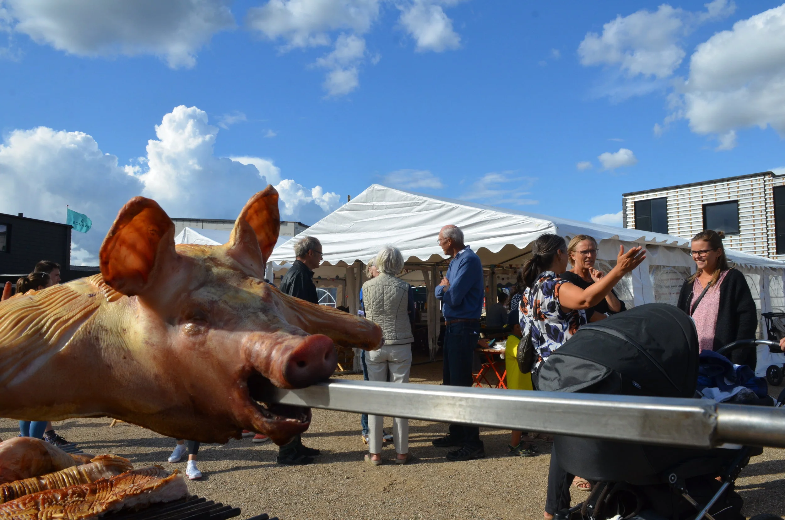 Allerførst blev grillen startet, og der blev varmet op til helstegt pattegris. Foto: AOB
