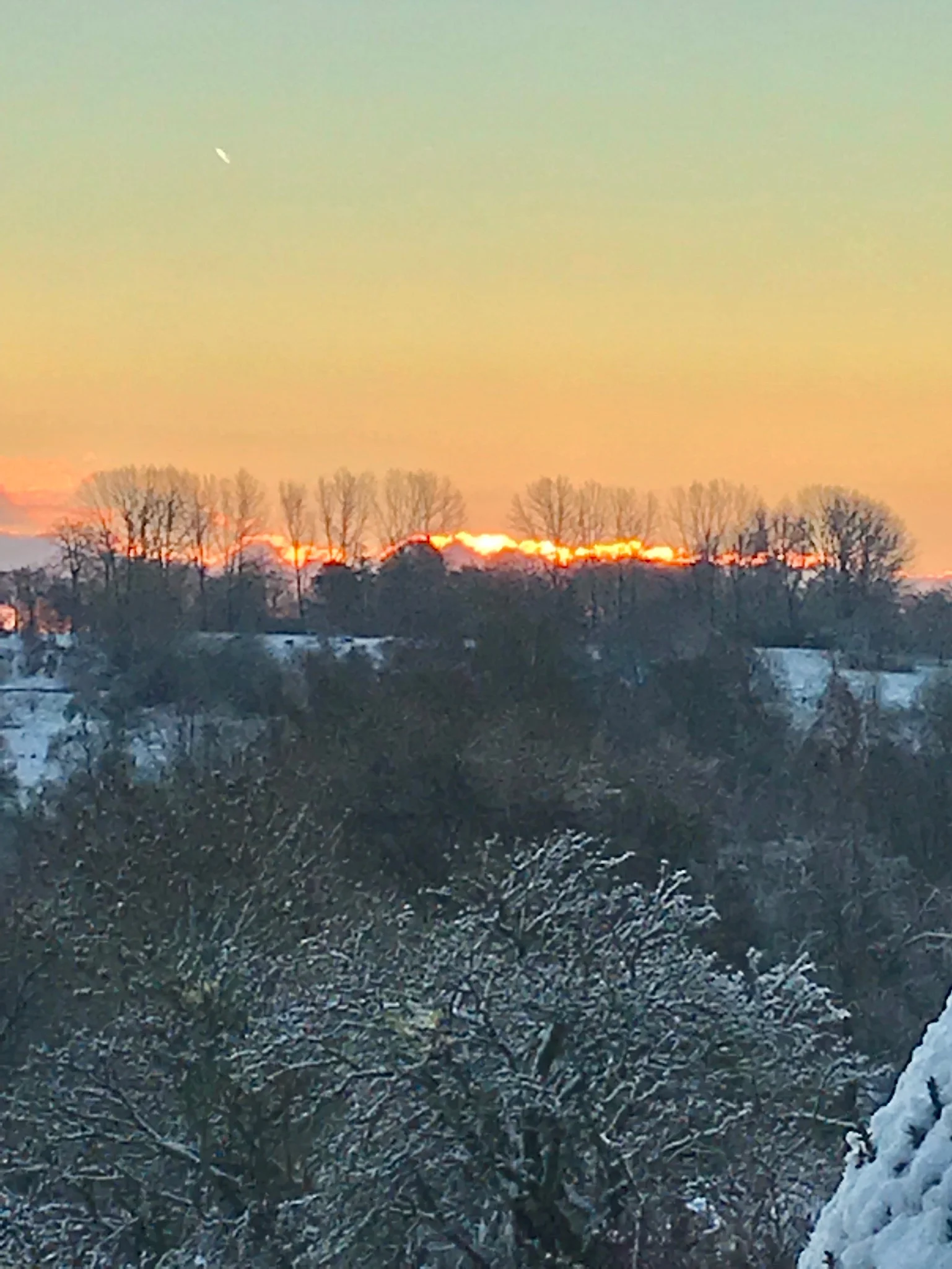 Go’ morgen-sol. Foto: Sabrina Cornic