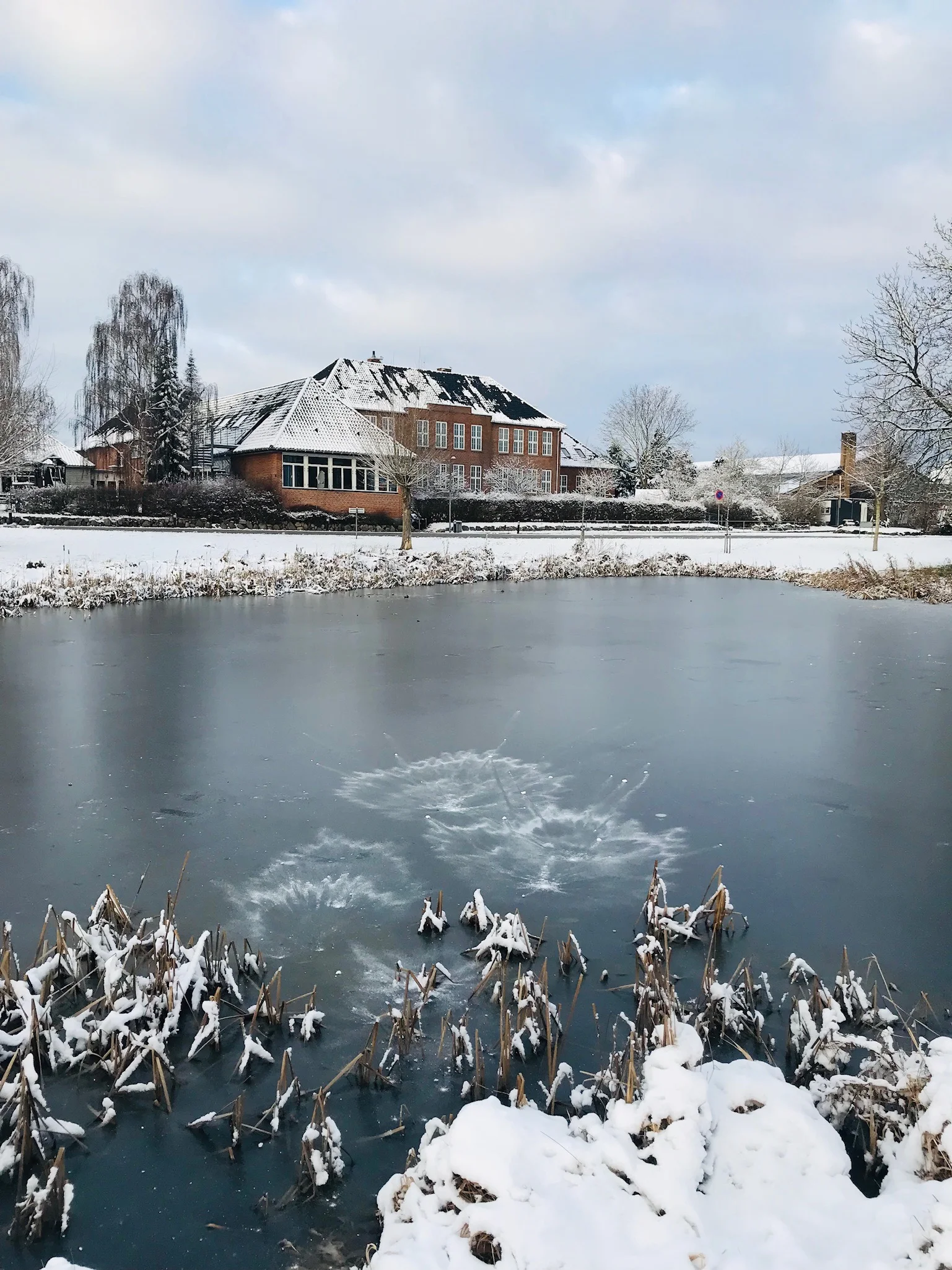Motiv fra gadekæret. Foto: Sabrina Cornic