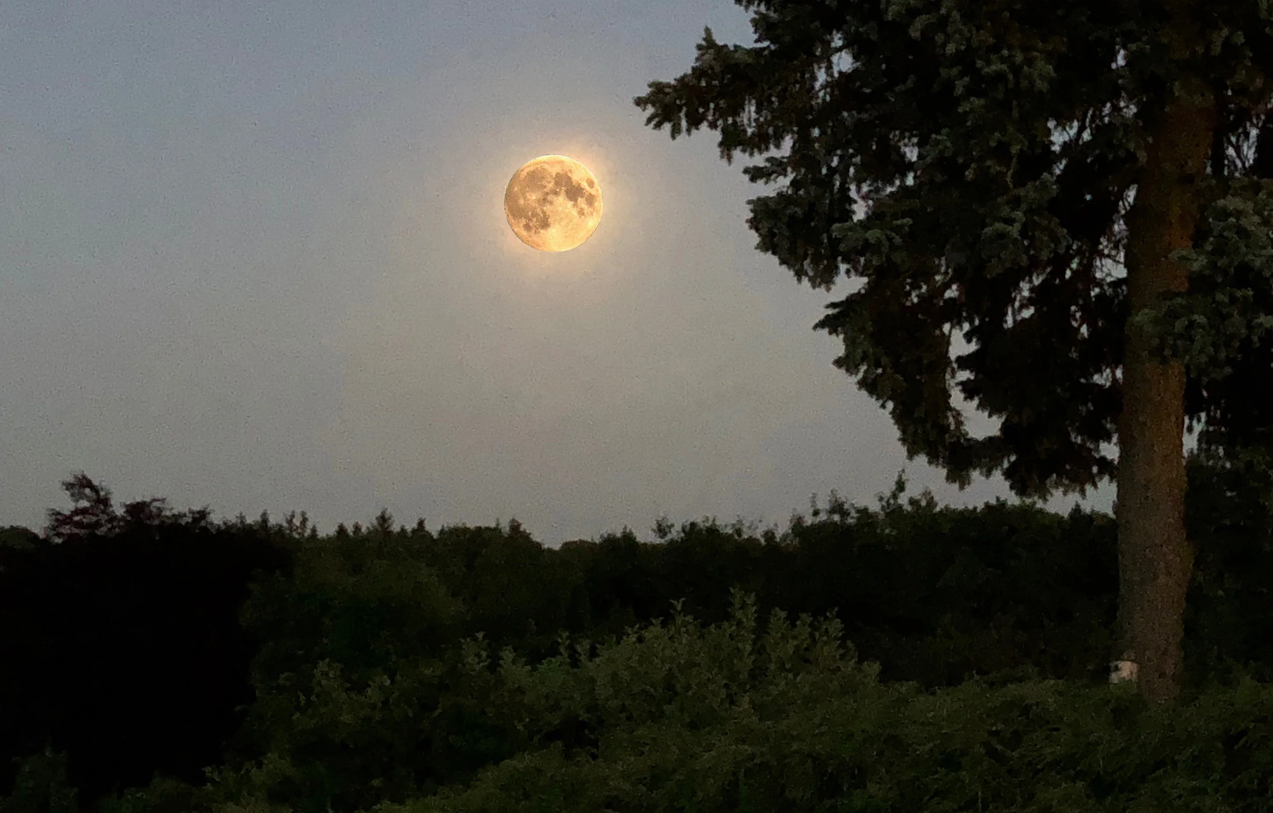 Første søndag efter første fuldmåne efter forårsjævndøgn falder påsken. Bare ikke lige i år. Manipuleret foto: AOB