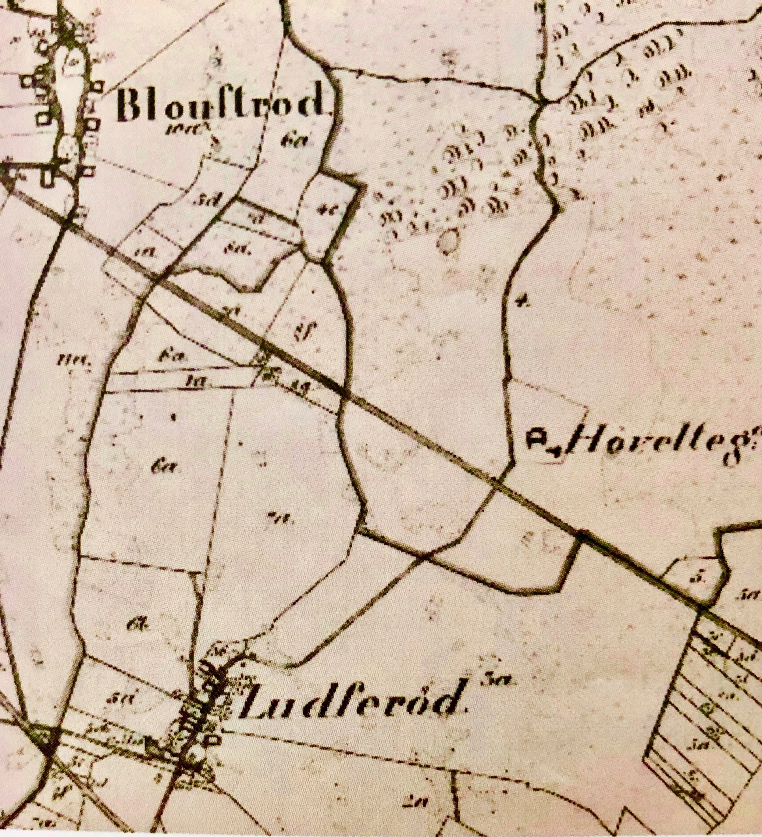 Udsnit af kort over Blovstrød fra1878, hvor man kan se Ludserød og Høveltegård på hver sin side af Kongevejen. Kort fra LAFAKs arkiv