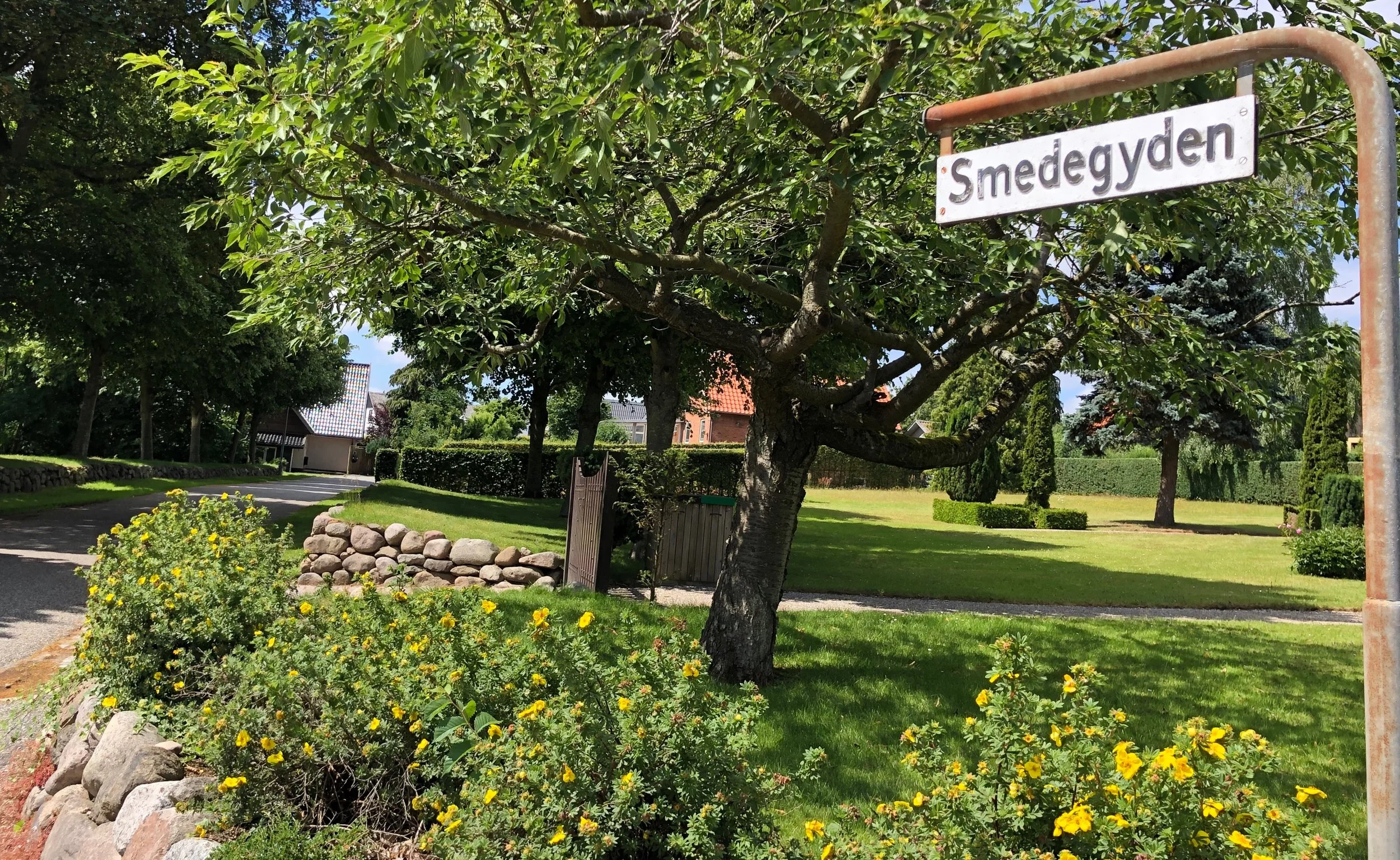 Mandag aften blev en bilist stoppet for spirituskørsel ved Smedegyden. Foto: AOB