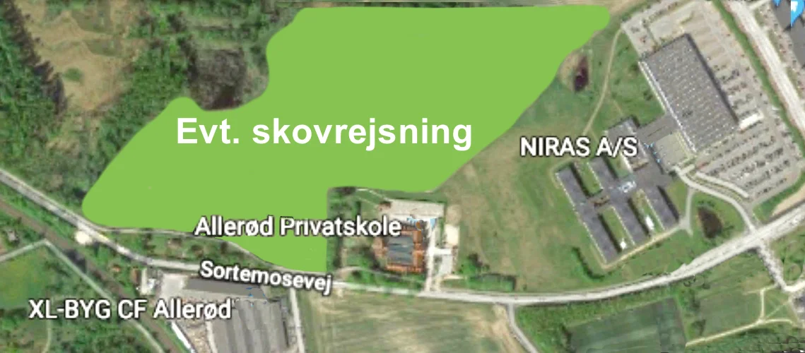 Lea Herdal: “Der er et lille areal bag NIRAS og Allerød Privatskole ved Sortemosevej, som kunne være velegnet til en skovrejsning.” Illustration: AOB