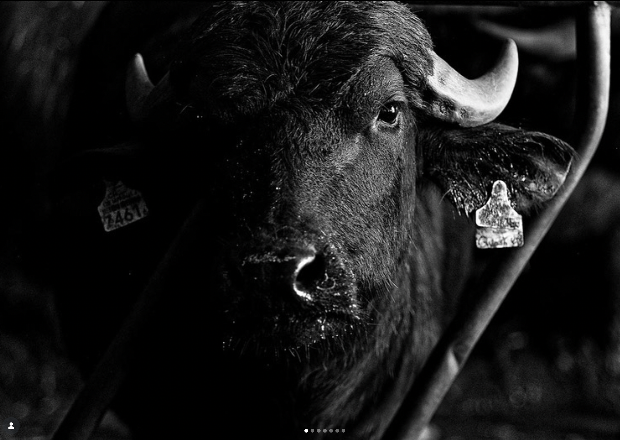 Capture d’écran 2026-05-08 à 16.26.03.png