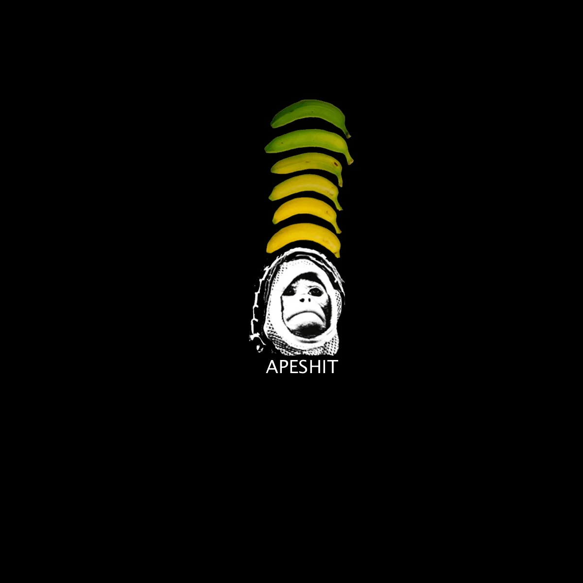 apeshit cover.jpg