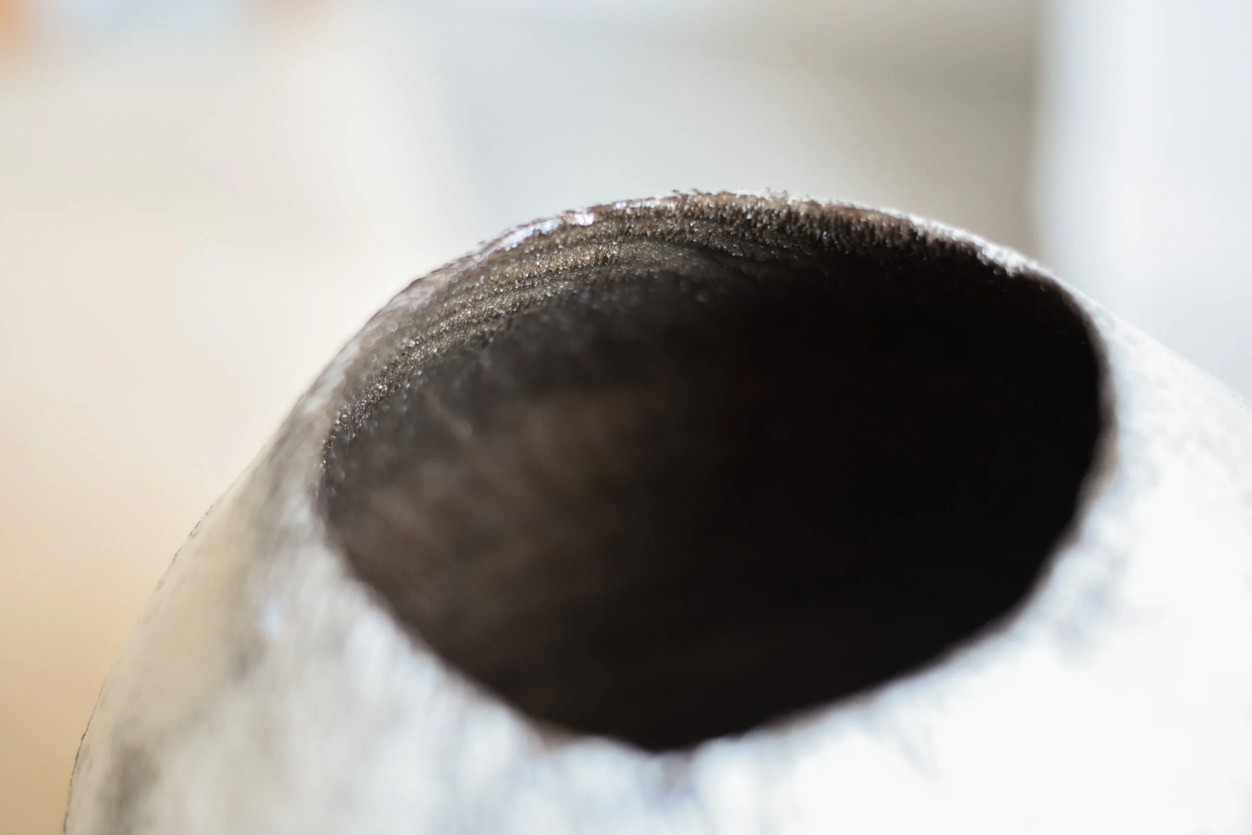 Photoshoot October 2024-26.jpg