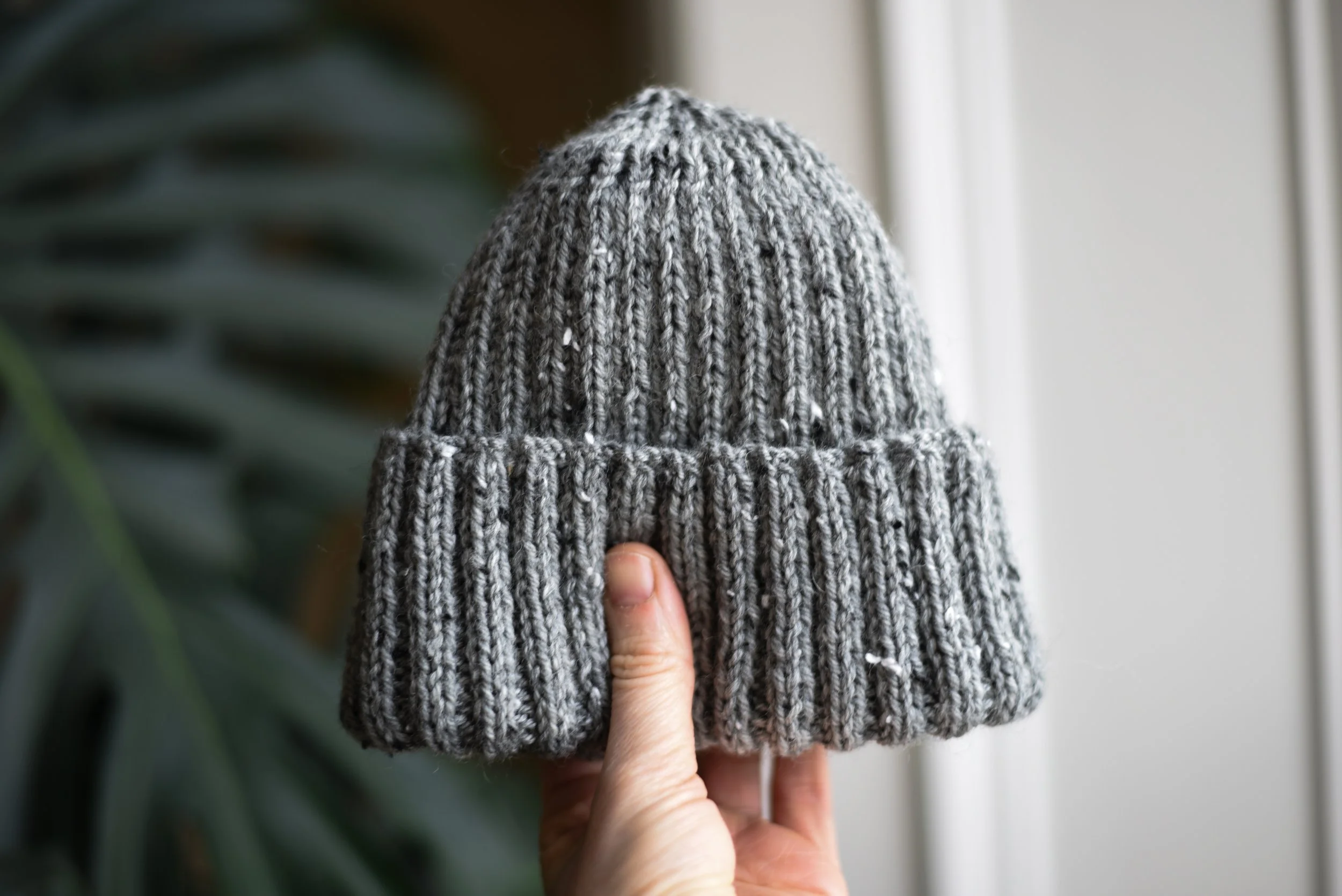 Photoshoot February 2025-006.jpg