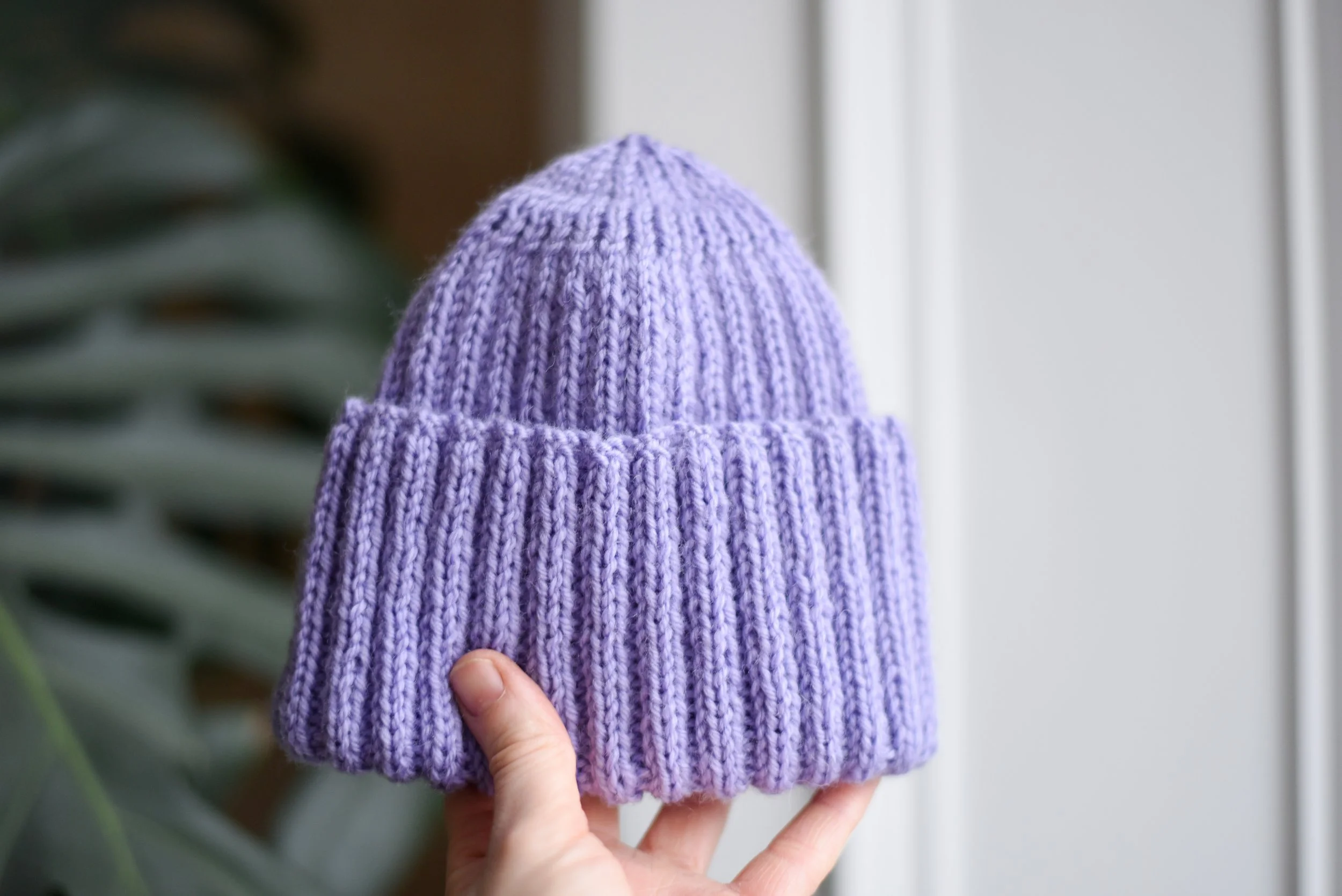 Photoshoot December 2024-119.jpg