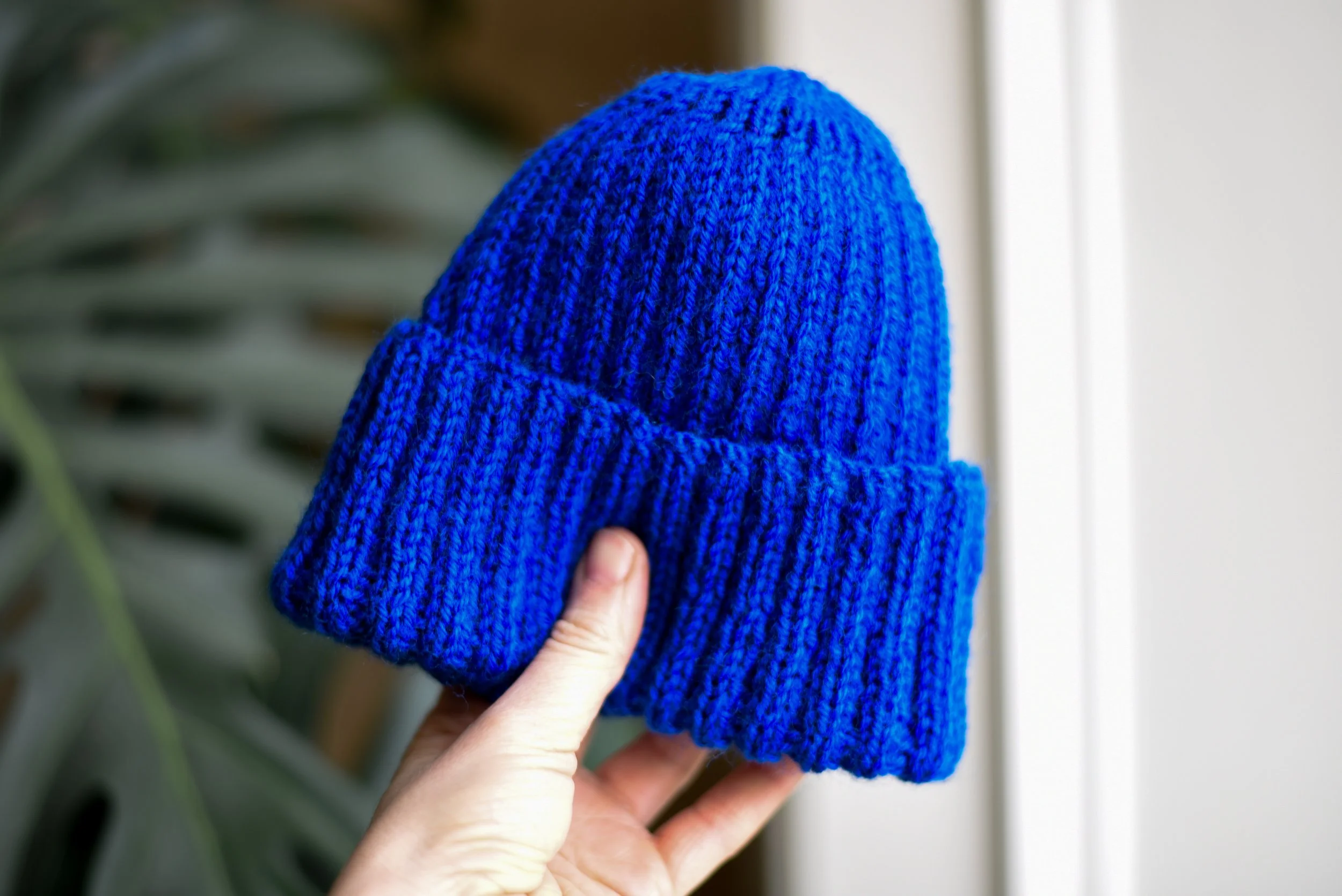 Photoshoot February 2025-003.jpg