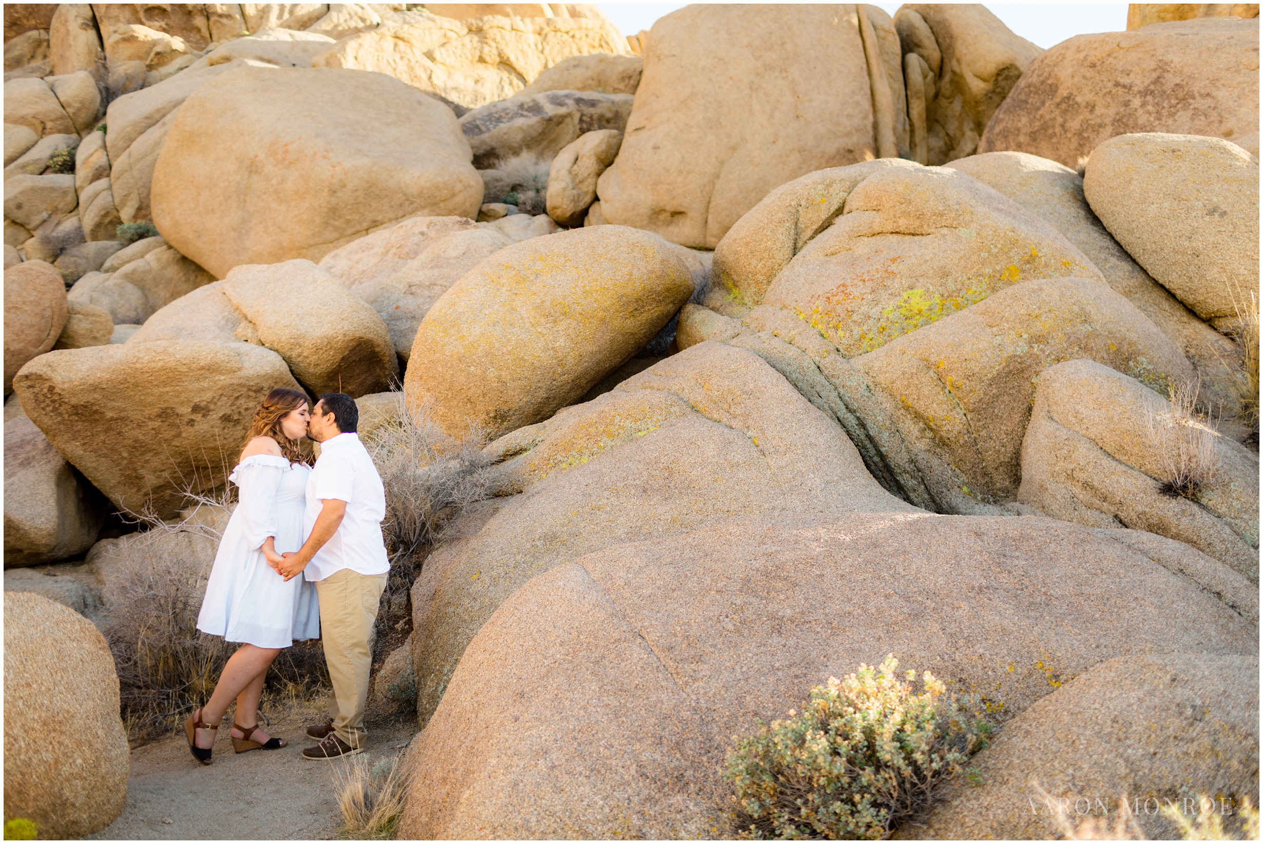 Joshua_Tree_Engagement_Los_Angeles_Wedding_Photographer_0218.jpg