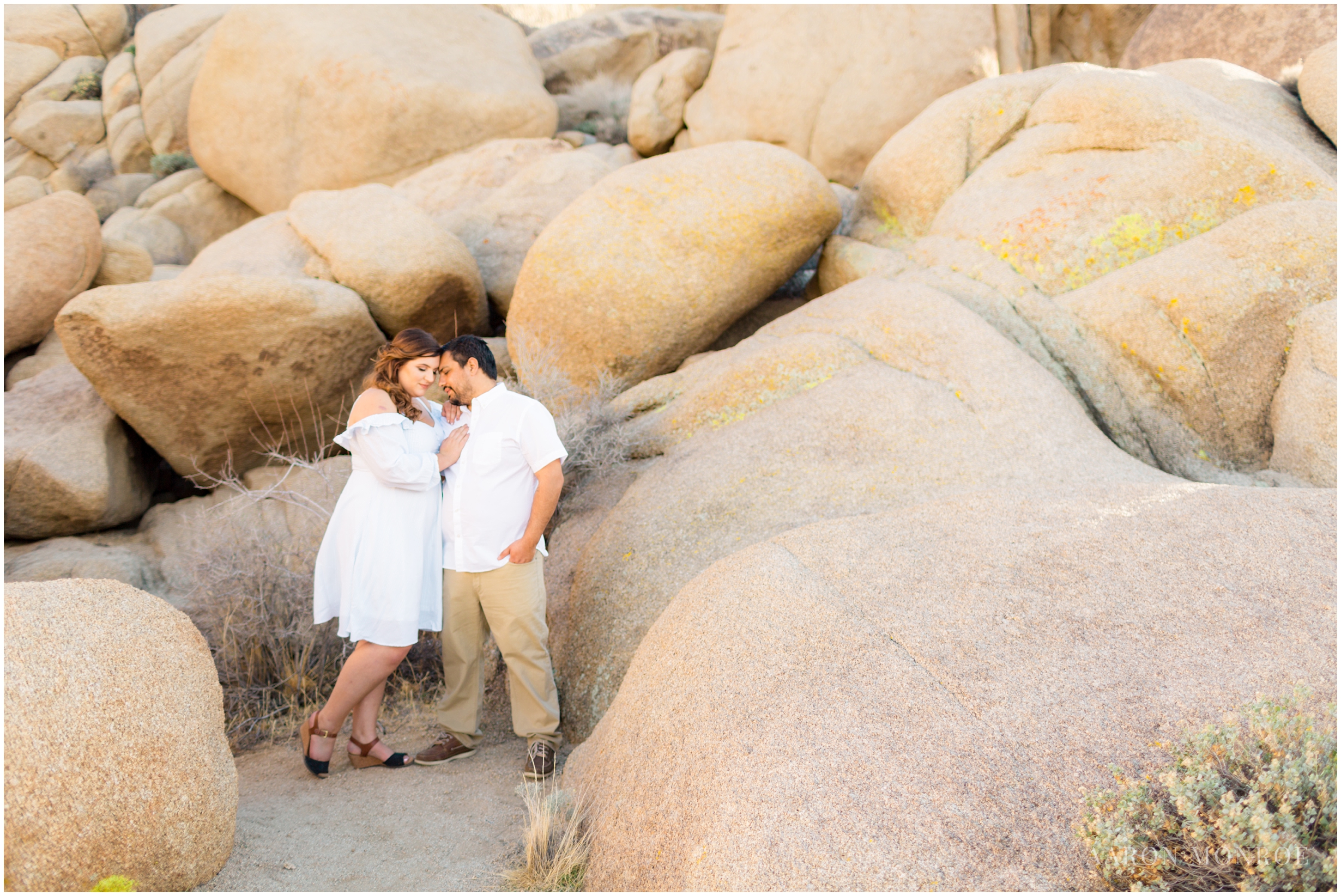 Joshua_Tree_Engagement_Los_Angeles_Wedding_Photographer_0220.jpg