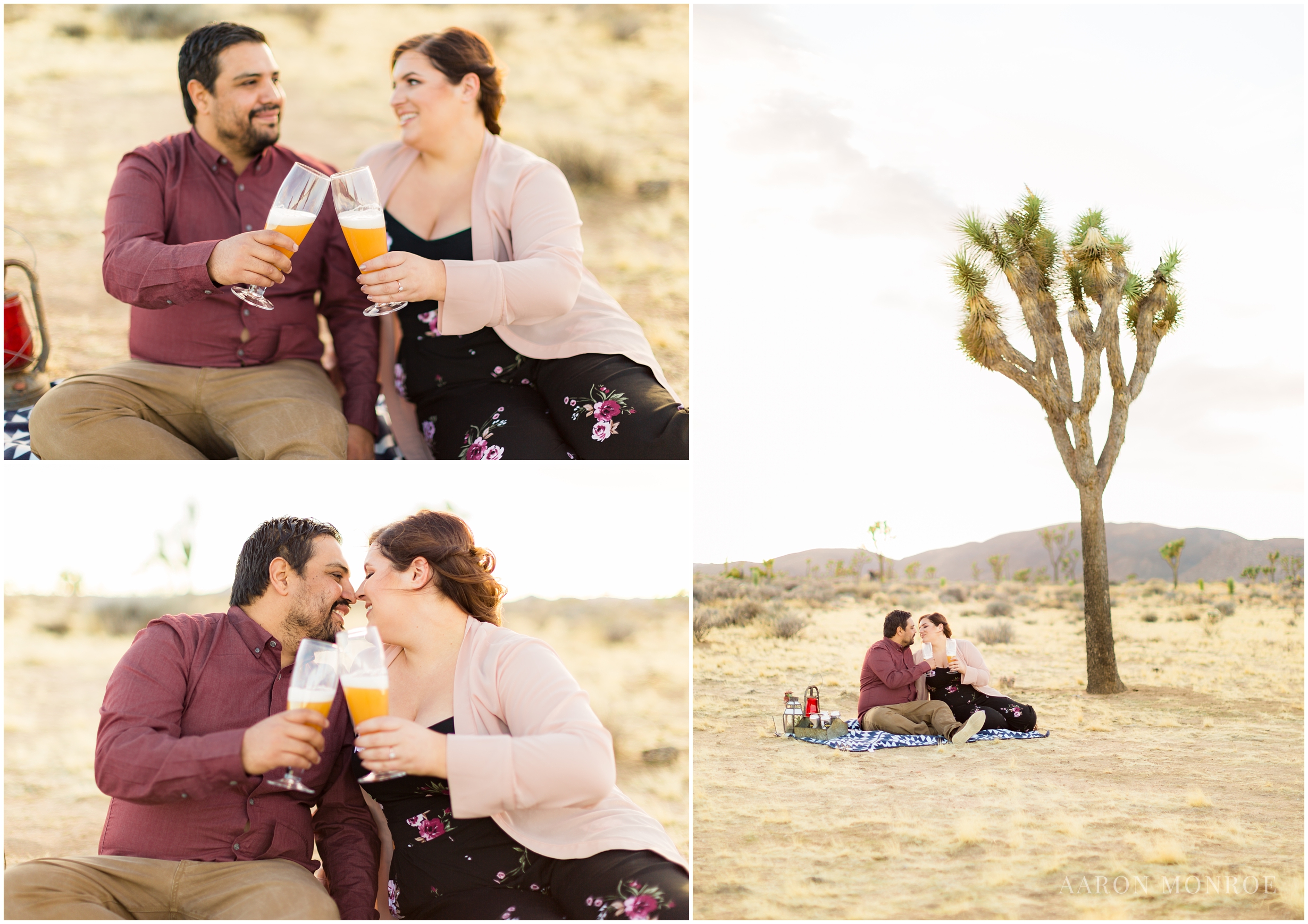 Joshua_Tree_Engagement_Los_Angeles_Wedding_Photographer_0230.jpg