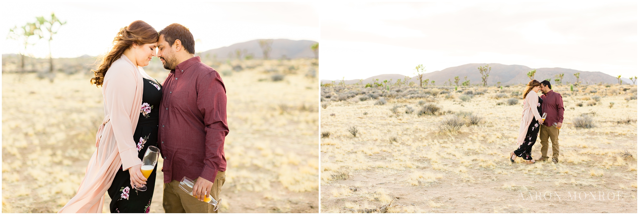 Joshua_Tree_Engagement_Los_Angeles_Wedding_Photographer_0233.jpg