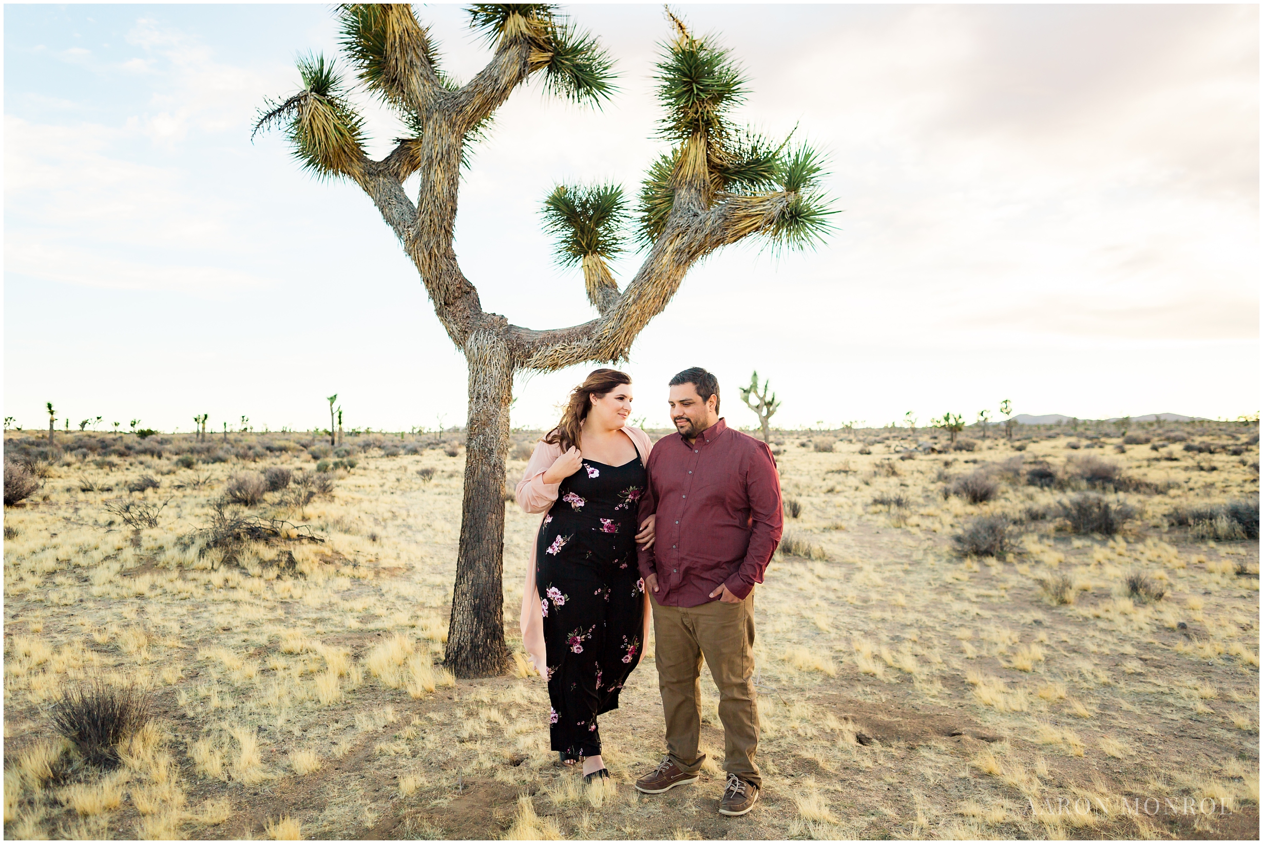 Joshua_Tree_Engagement_Los_Angeles_Wedding_Photographer_0235.jpg