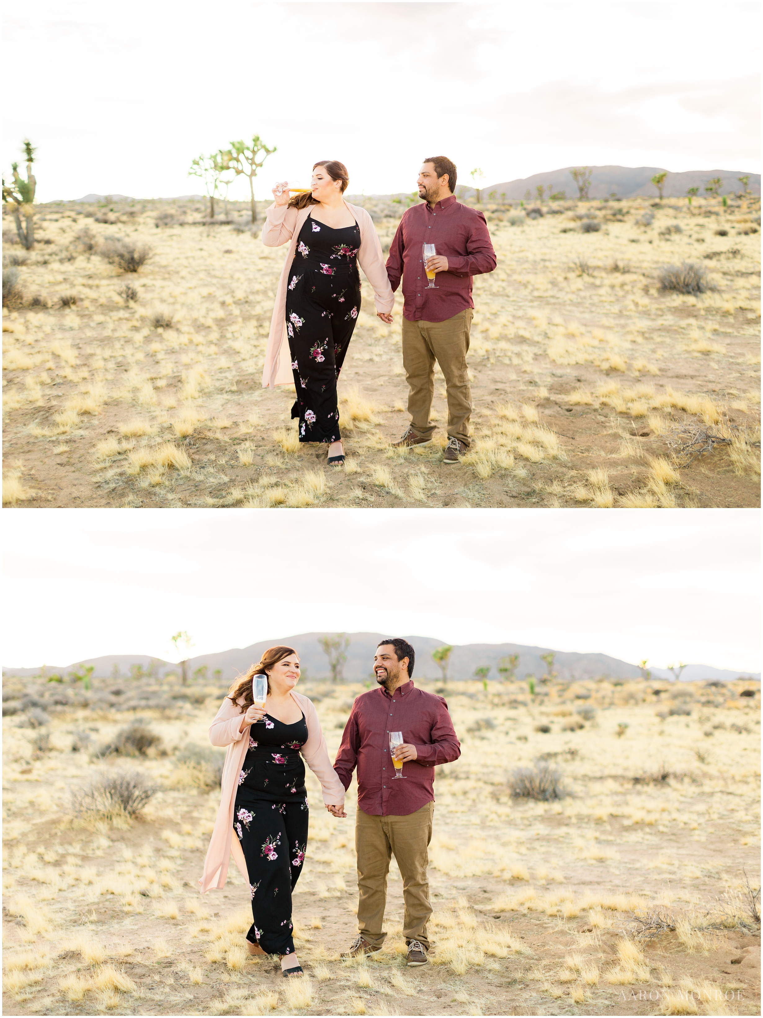 Joshua_Tree_Engagement_Los_Angeles_Wedding_Photographer_0234.jpg