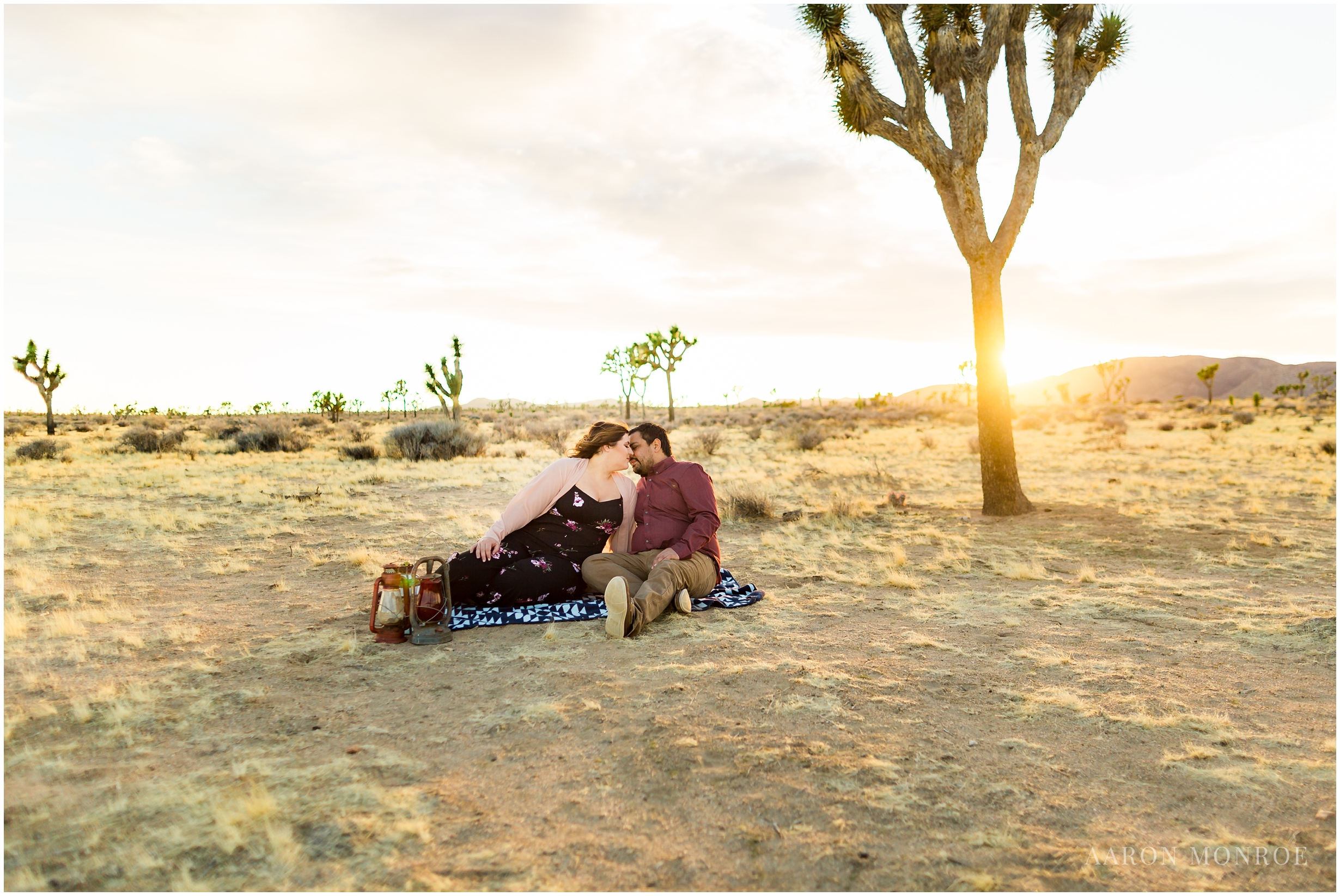 Joshua_Tree_Engagement_Los_Angeles_Wedding_Photographer_0238.jpg