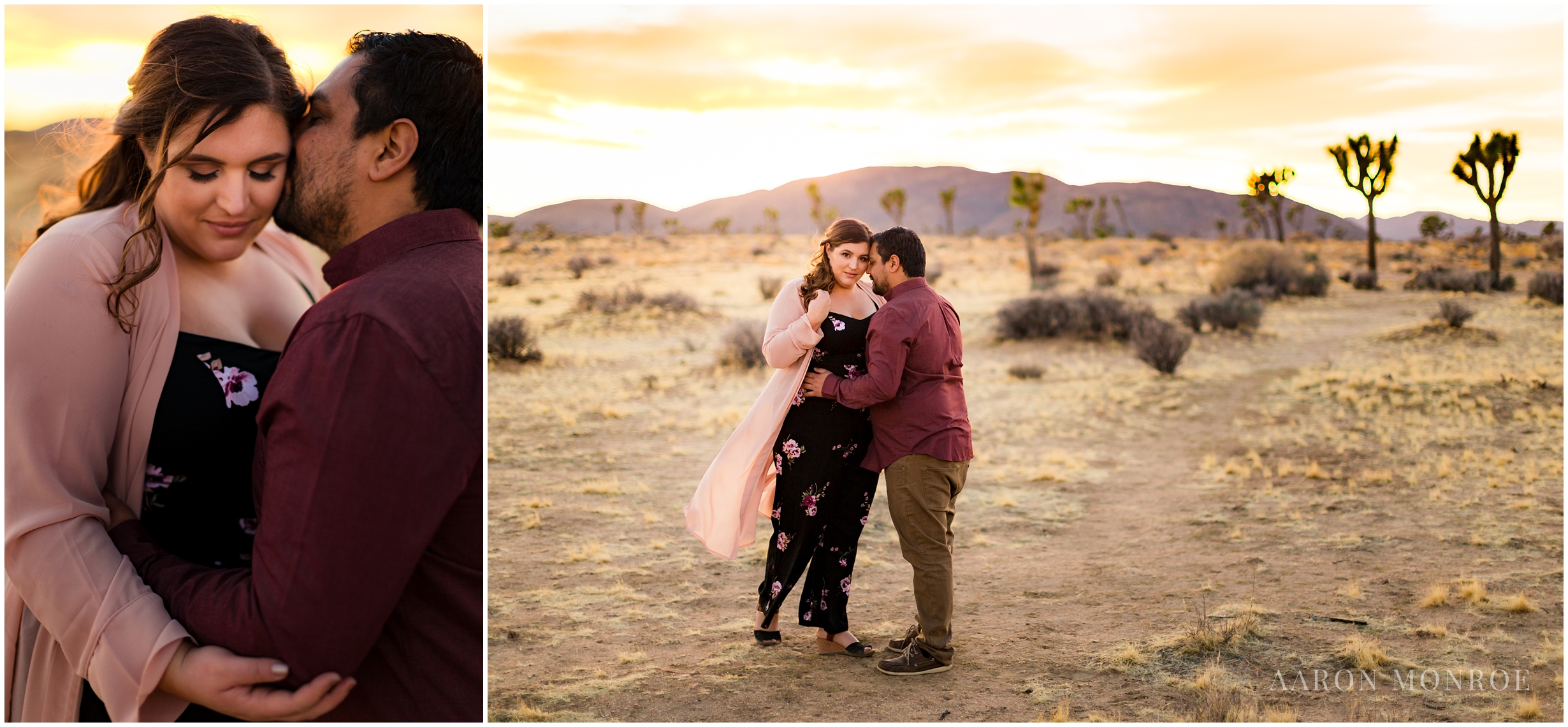 Joshua_Tree_Engagement_Los_Angeles_Wedding_Photographer_0250.jpg