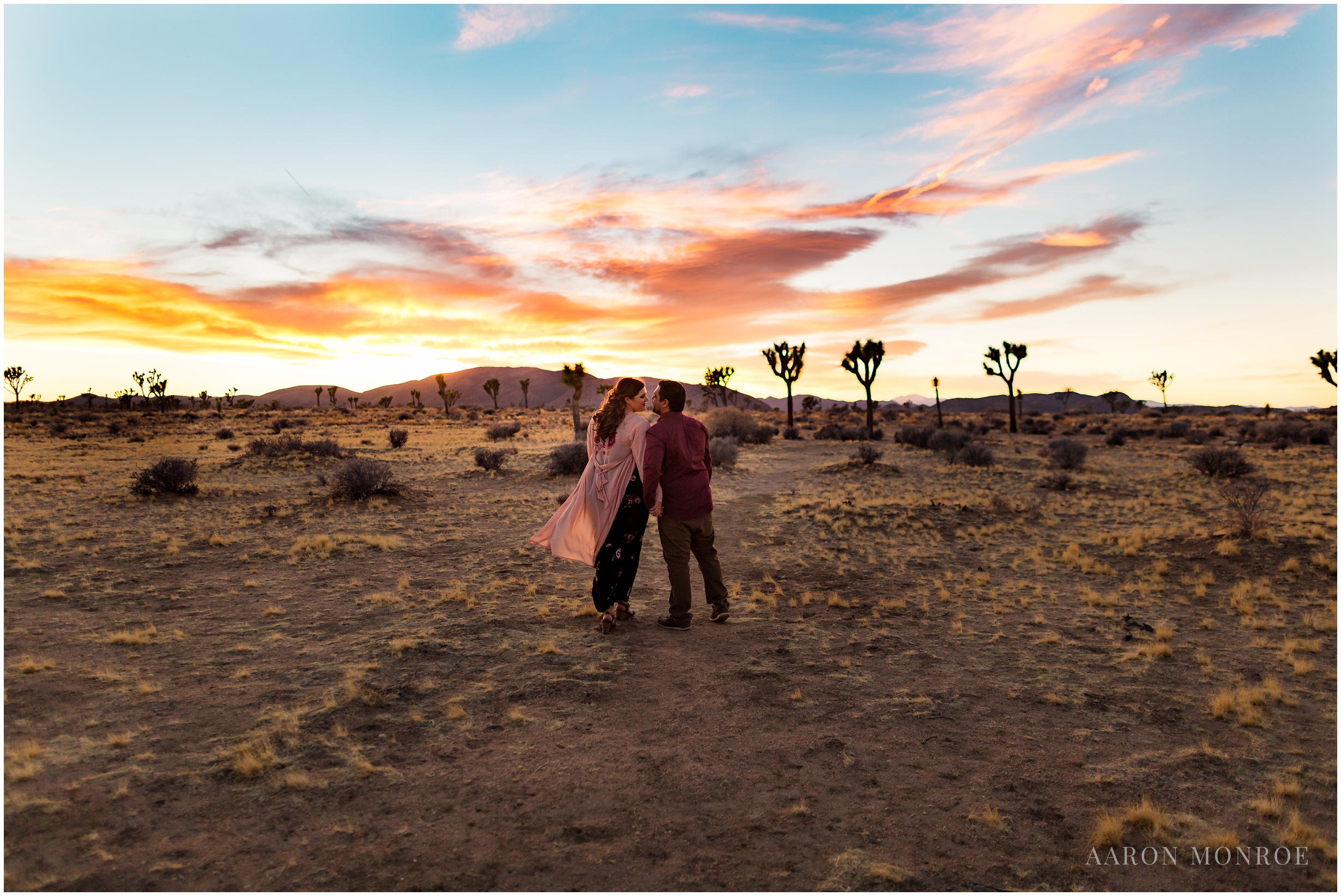 Joshua_Tree_Engagement_Los_Angeles_Wedding_Photographer_0254.jpg