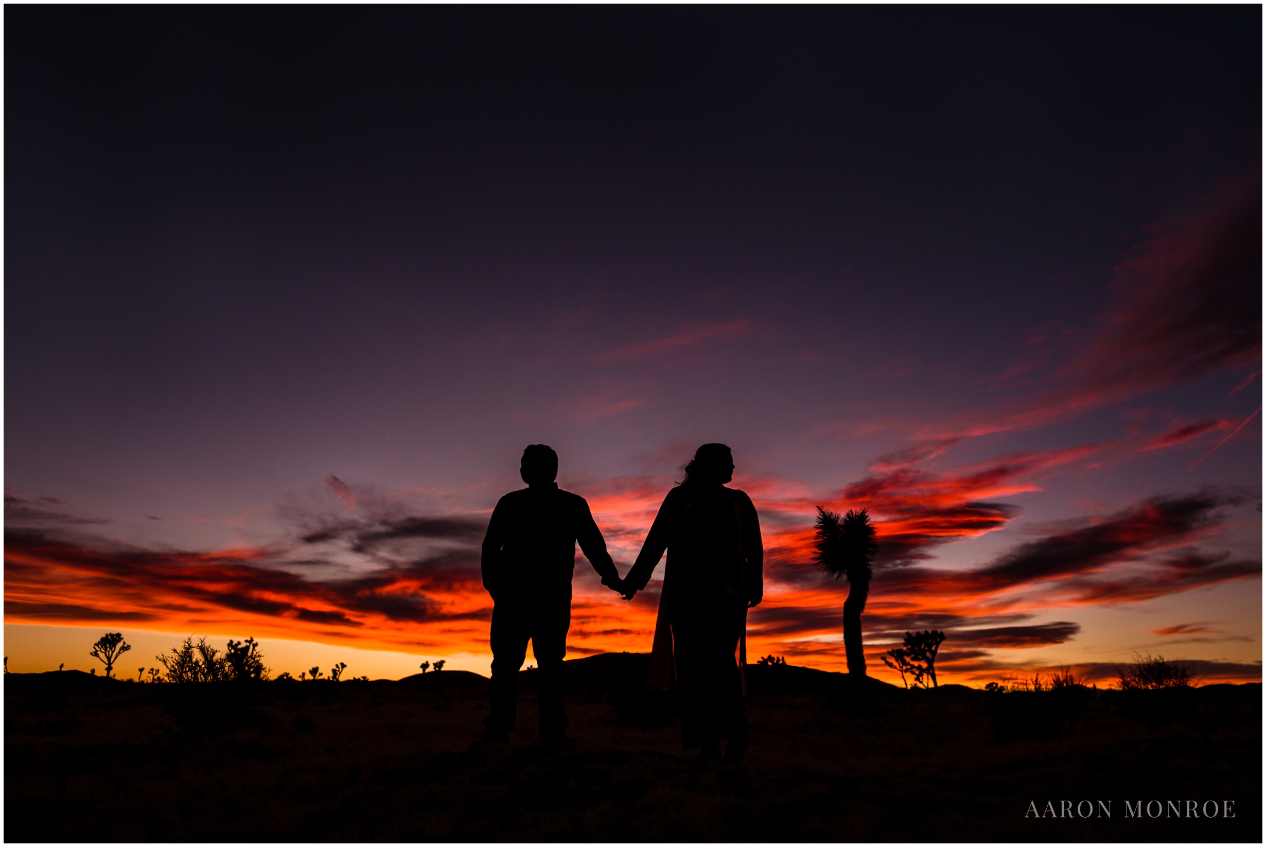 Joshua_Tree_Engagement_Los_Angeles_Wedding_Photographer_0258.jpg