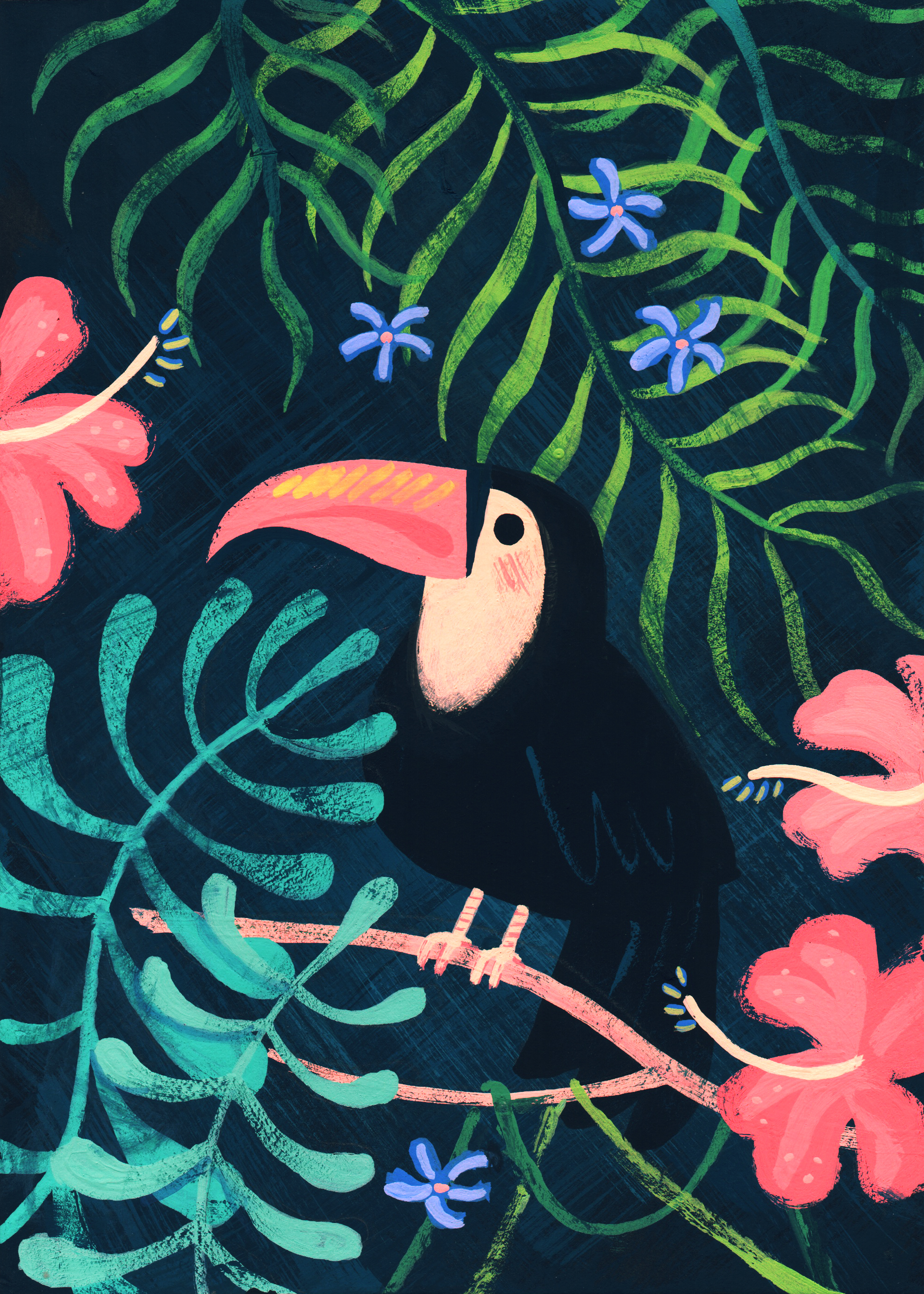 Bird of Paradise