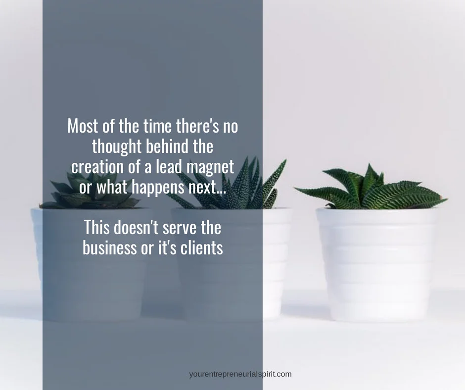 The truth about Lead Magnets quote