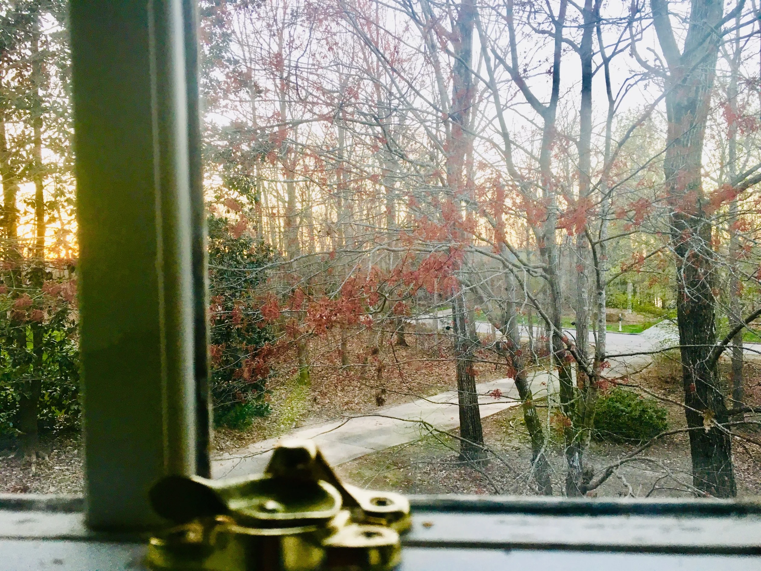 autumn window brass