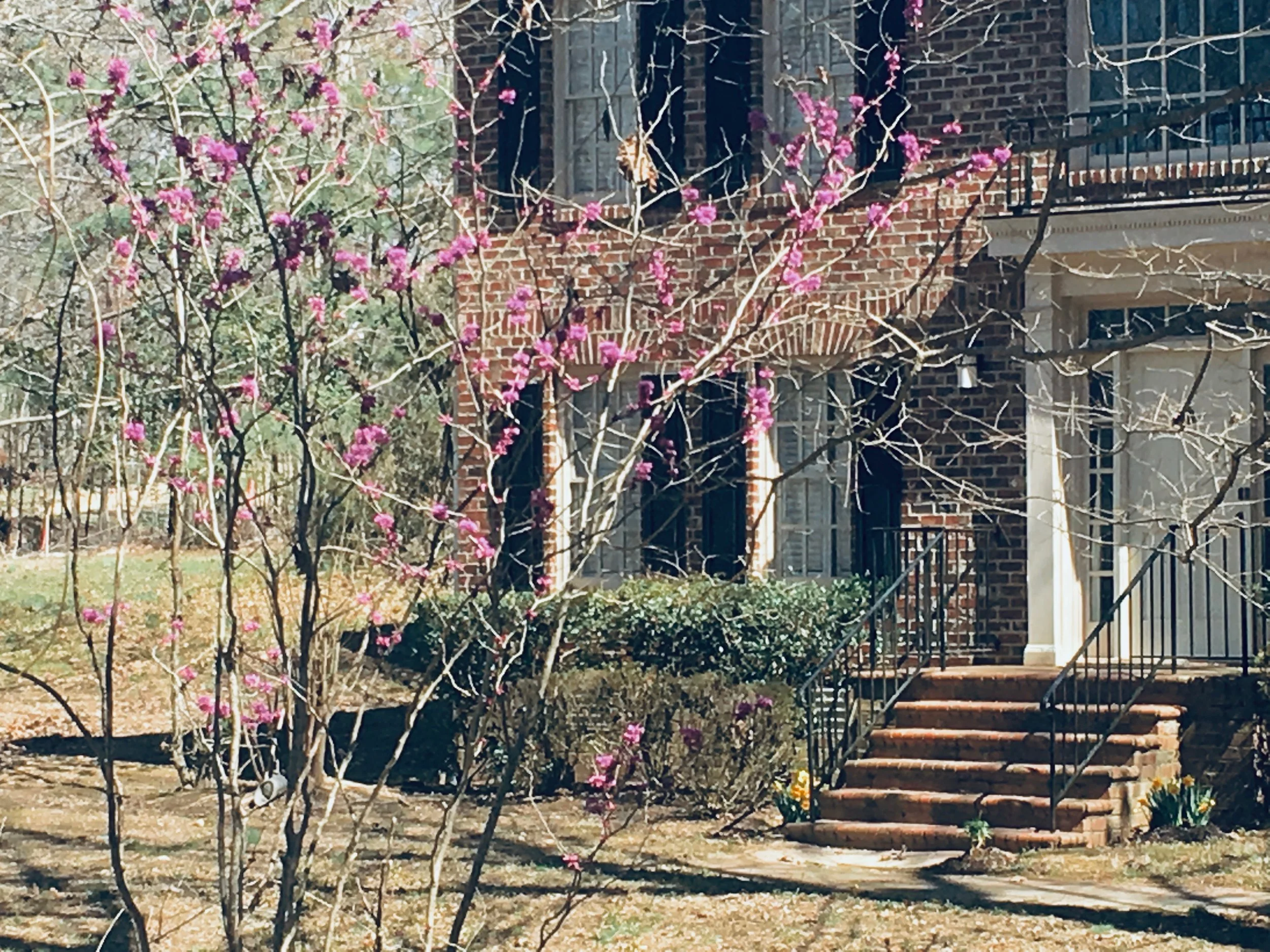 the porch