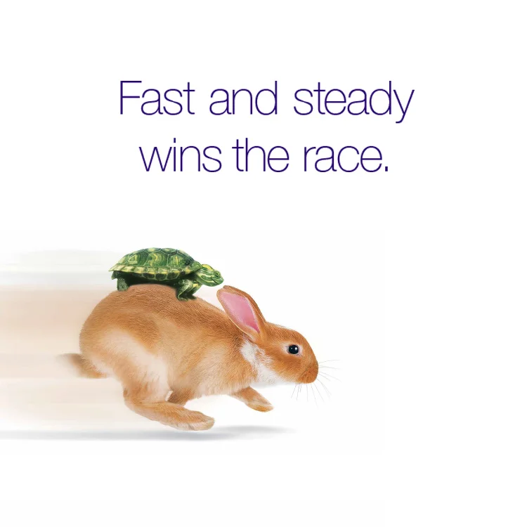 The Tortoise and the Hare