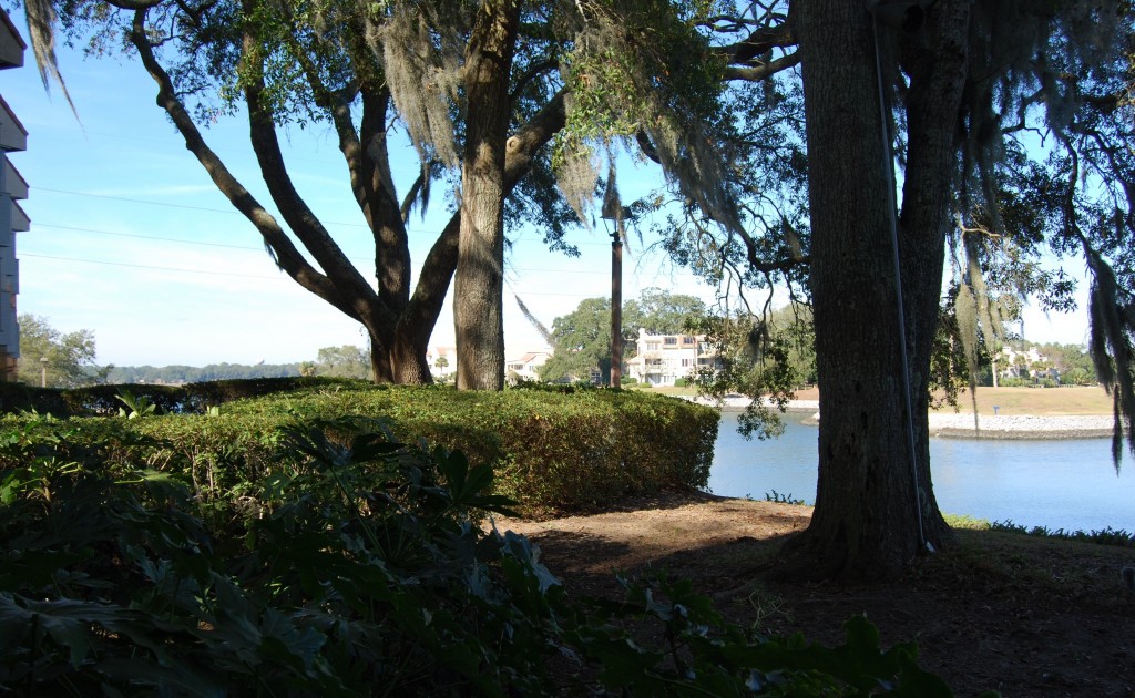 view-1024x630.jpg