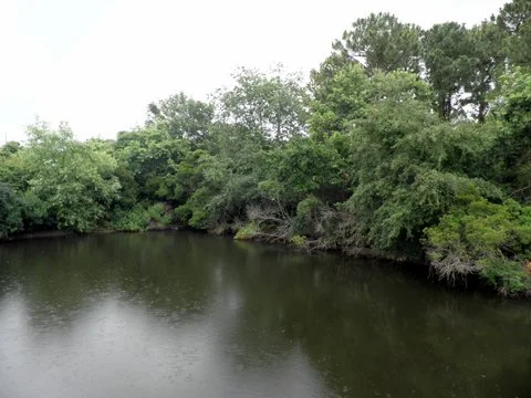 pond-park2.jpg