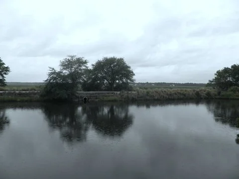 pond-park4.jpg