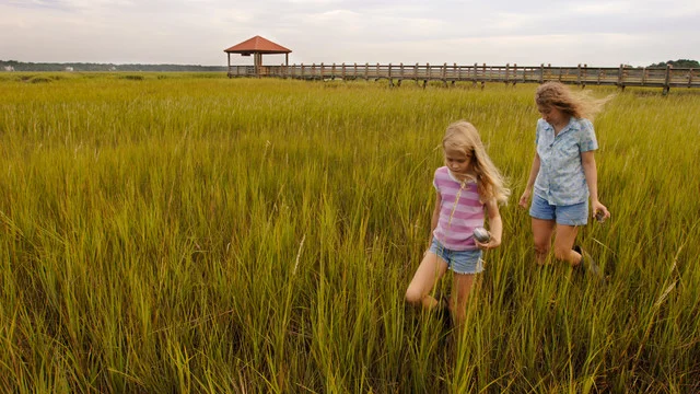 hilton-head-gallery00.jpg