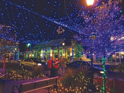 Dove Street Festival of Lights