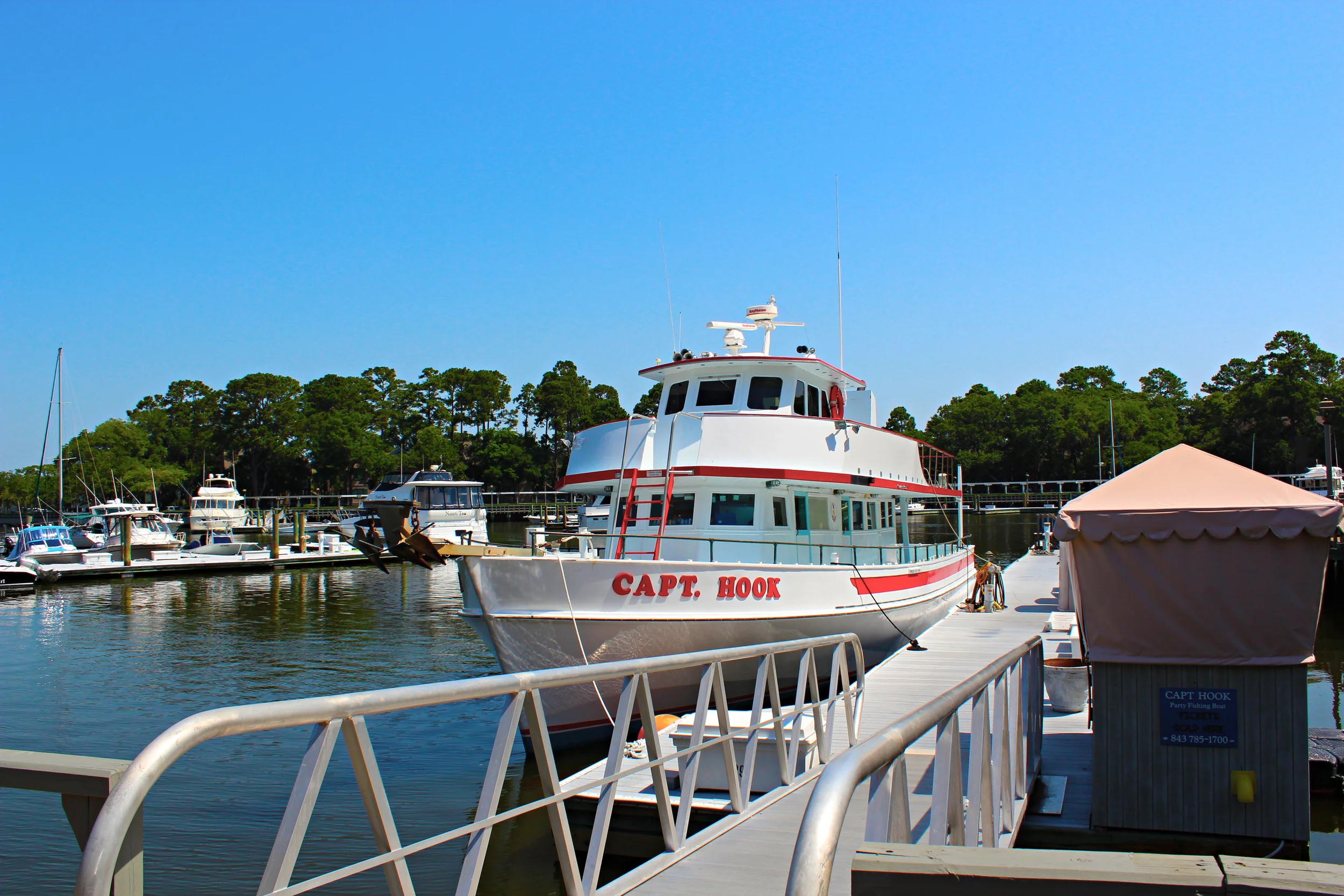 Captain Hook Party Fishing