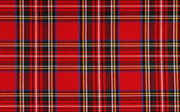 PLAID PARTEE