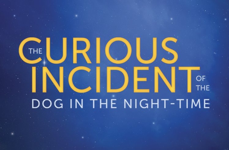 The Curious Incident of the Dog in the Night-Time